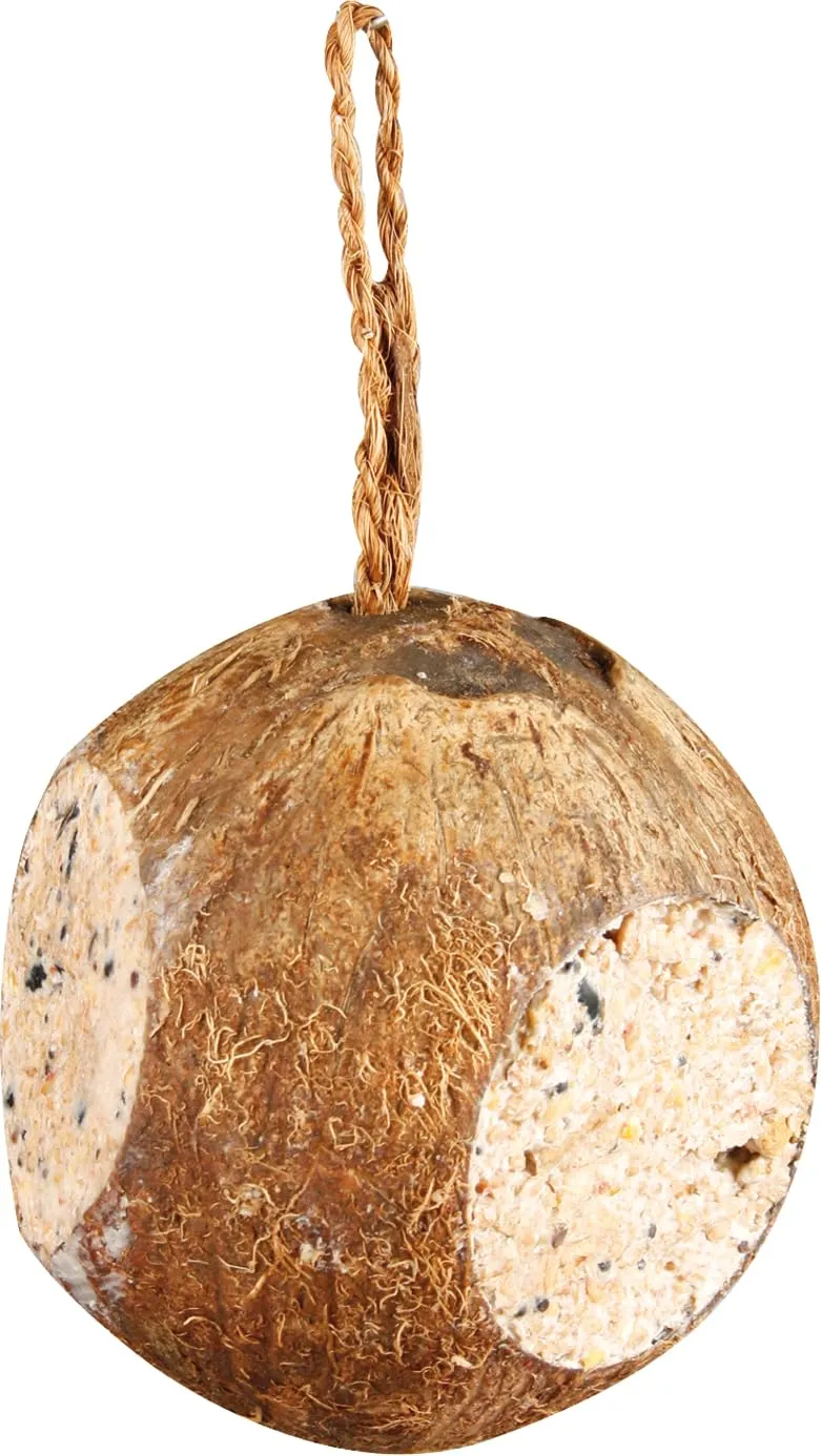 Flamingo Mangime Uccelli Selvatici - qualità Premium - Noce di Cocco ripiena Classica con Semi e Grassi - 200g - immagine 2