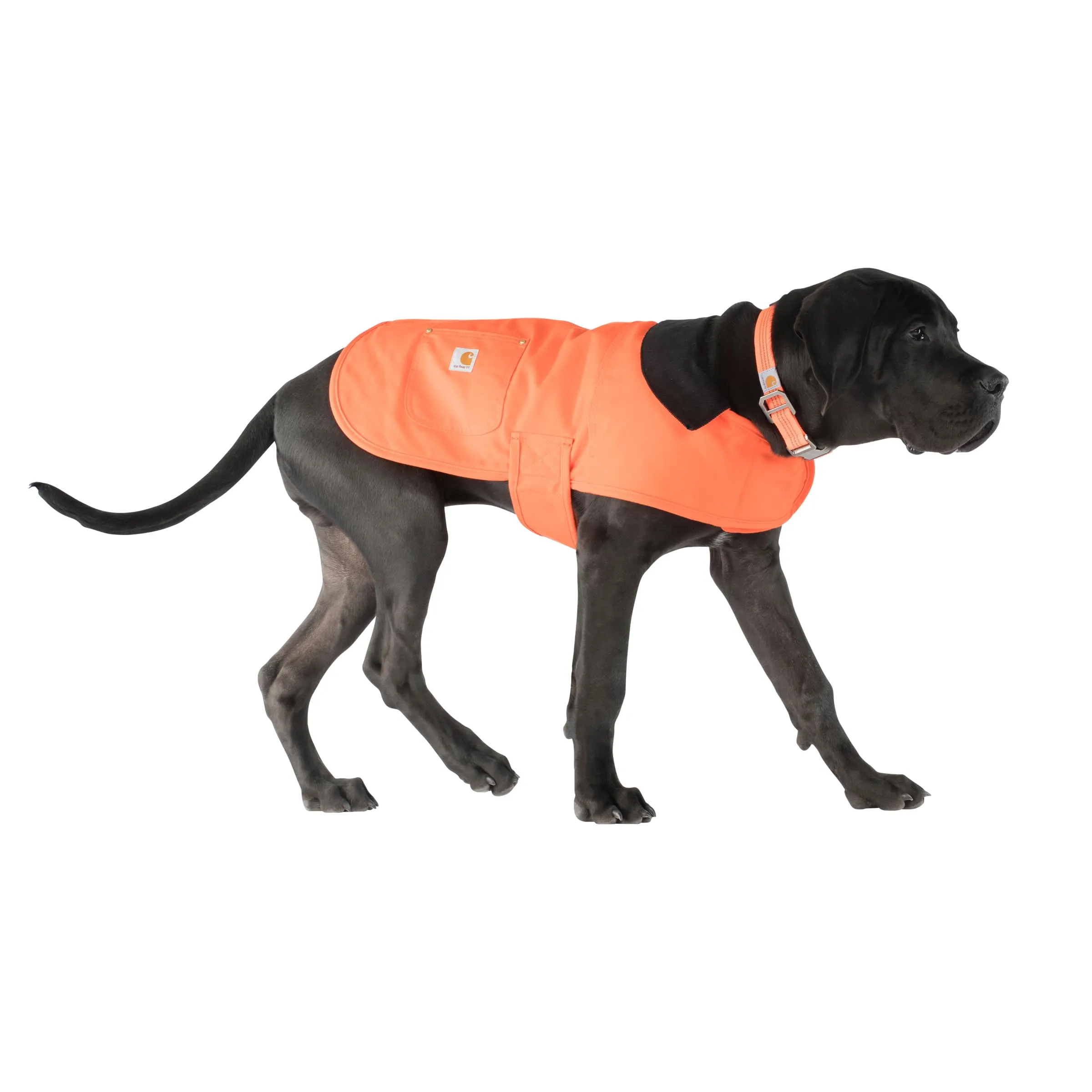 Carhartt Cappotto unisex Chore, Hunter Arancione/Ottone, S UK - immagine 4