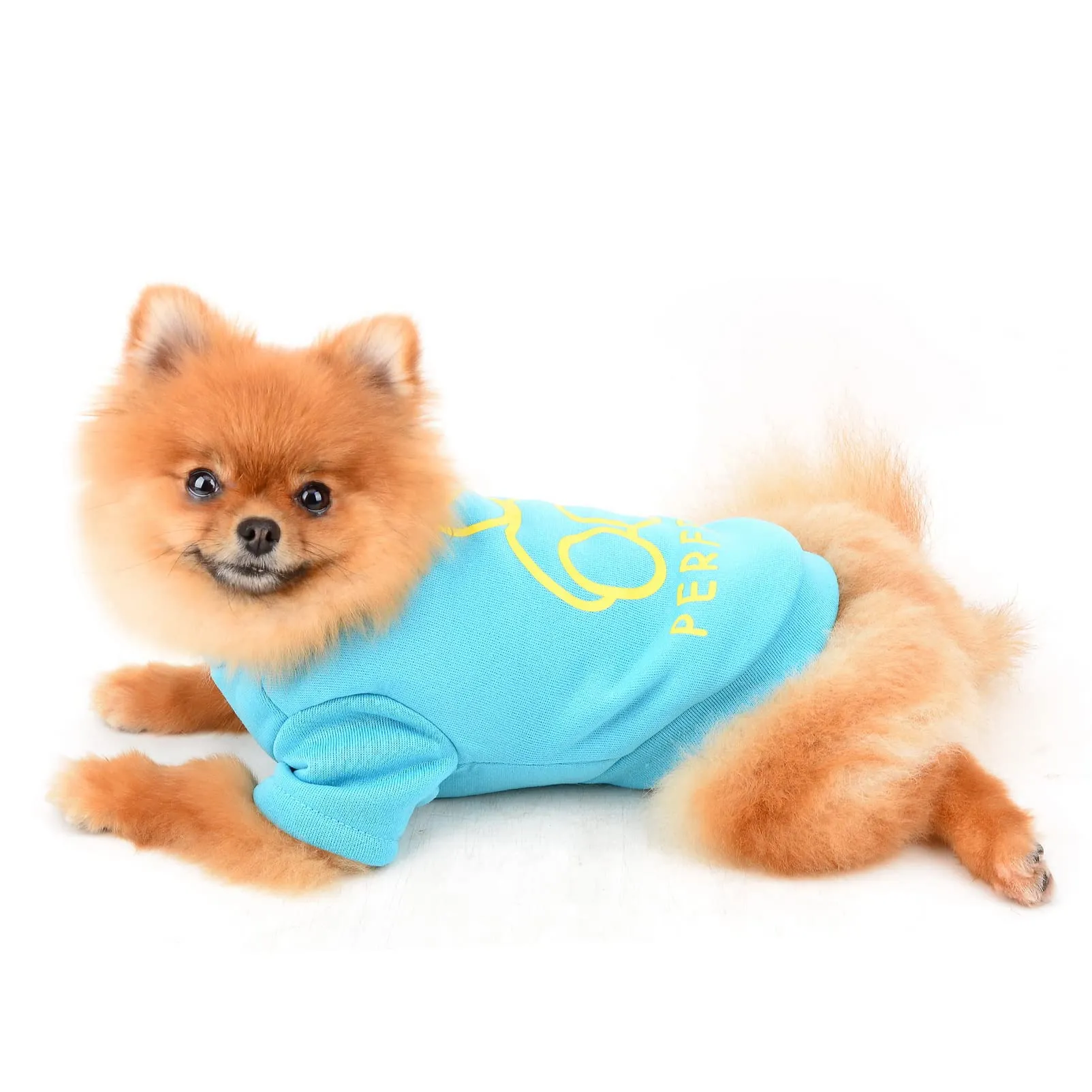 SMALLLEE_LUCKY_STORE Simpatico cartone animato cucciolo felpa in pile pullover maglioni per cani di piccola taglia media gatto Yorkie Chihuahua gattino caldo autunno inverno vestiti, Blu, S - immagine 2