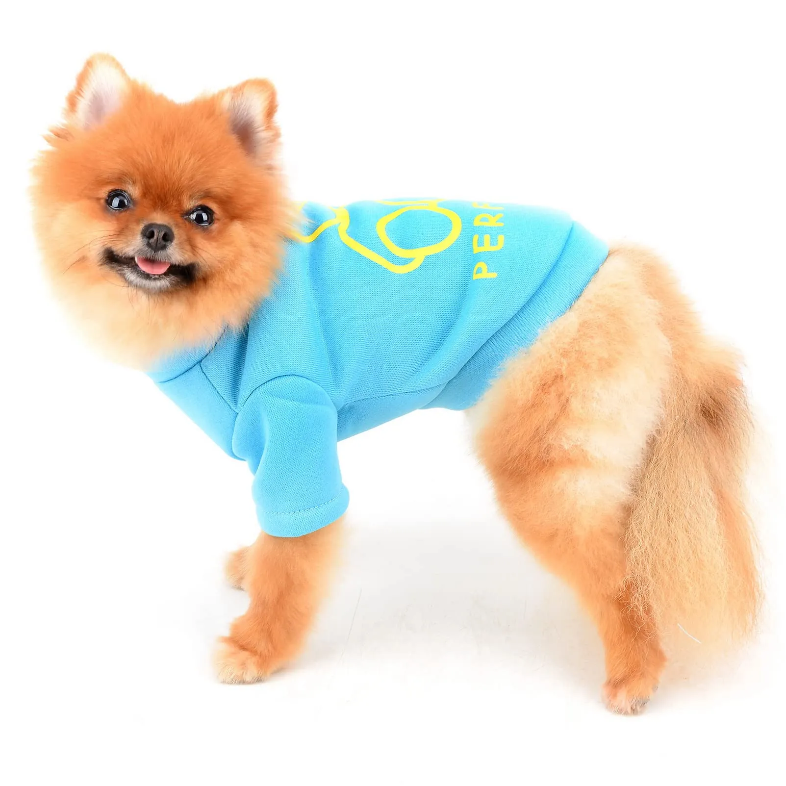 SMALLLEE_LUCKY_STORE Simpatico cartone animato cucciolo felpa in pile pullover maglioni per cani di piccola taglia media gatto Yorkie Chihuahua gattino caldo autunno inverno vestiti, Blu, S - immagine 4