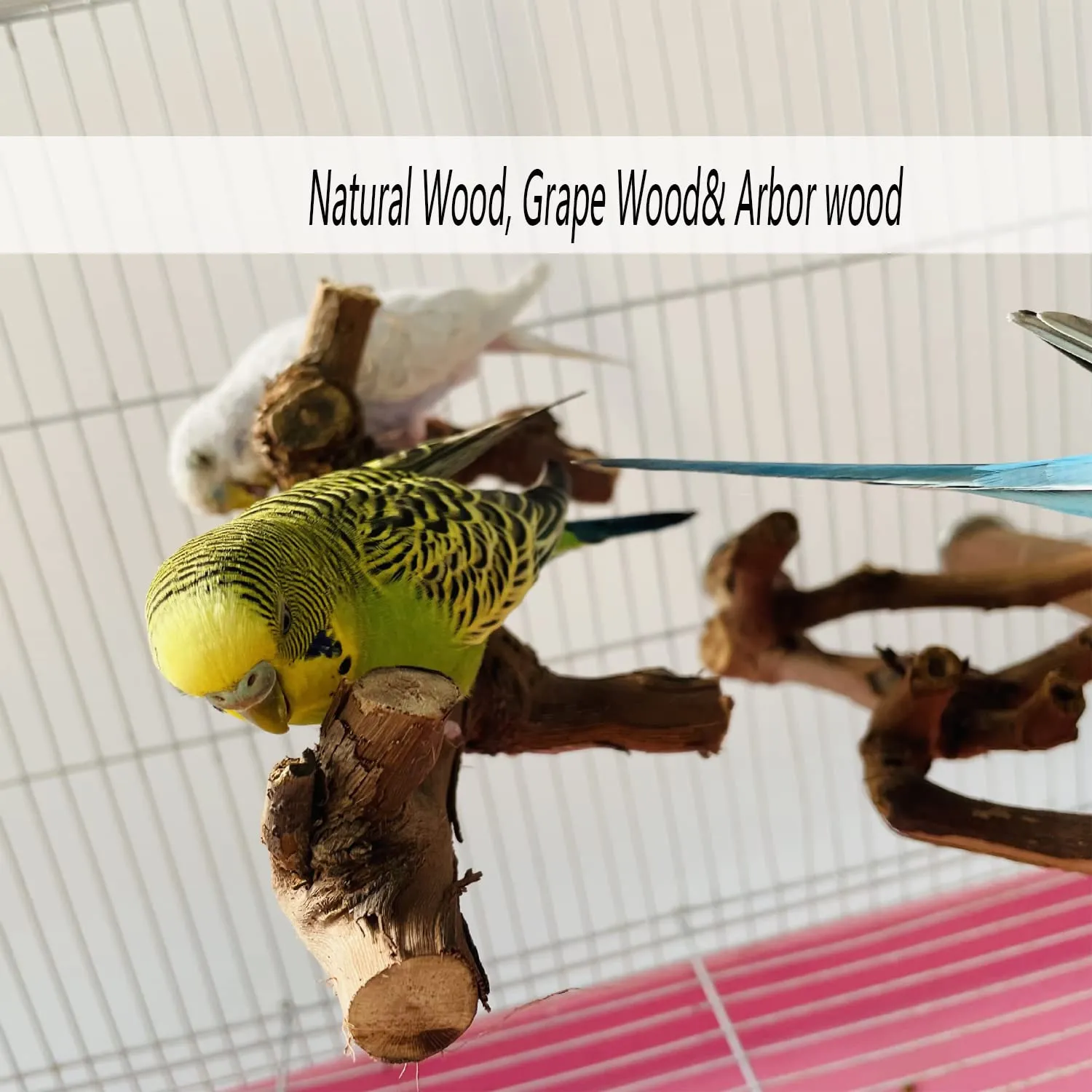 Allazone 5 Pz Posatoi in Legno di Uccelli, Posatoi per Uccelli, Trespolo per Uccelli e Pappagalli, Ramo D'uva Naturale Giocattolo Posatoi per Uccelli Legno Naturale per Cacatua, Cocorite - immagine 4