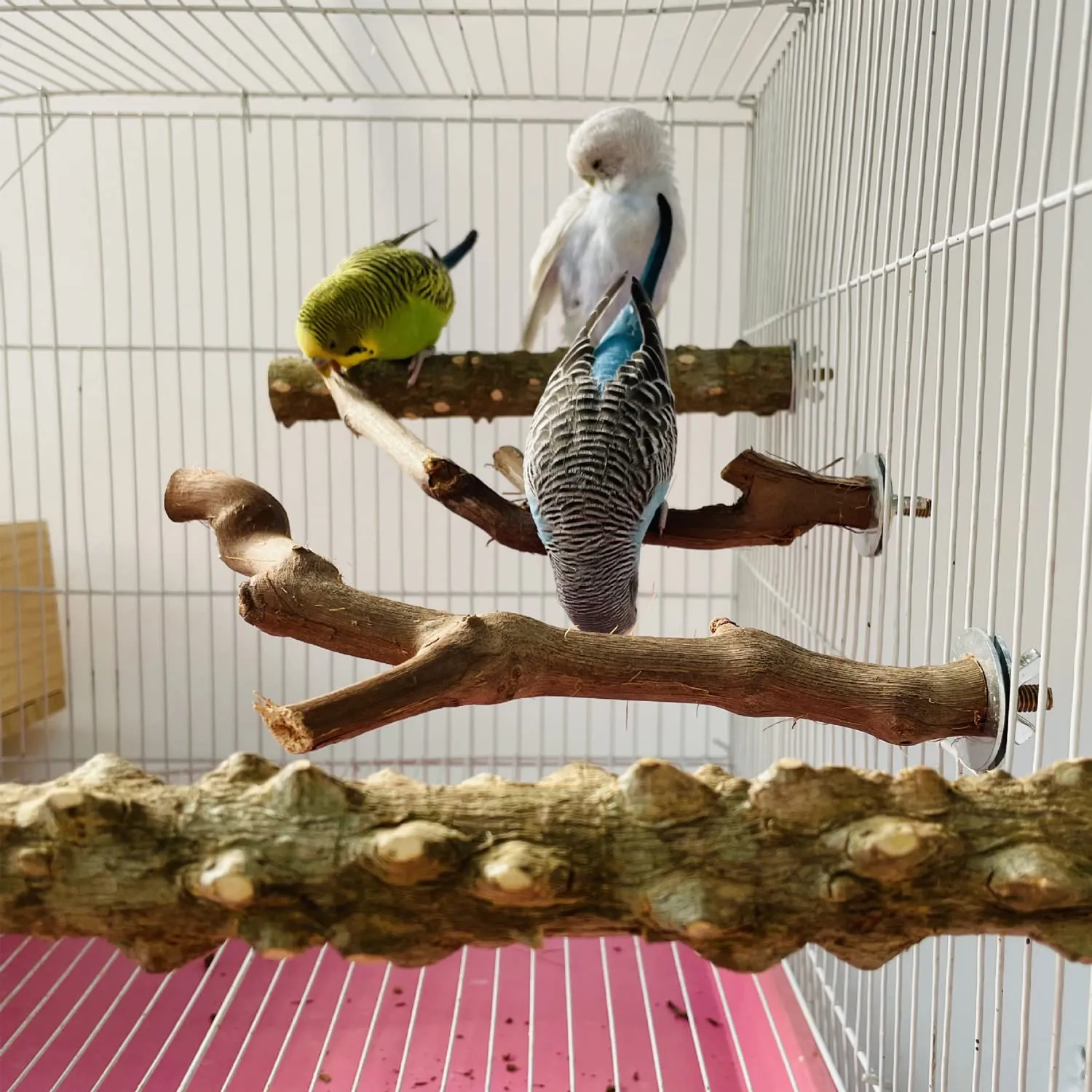 Allazone 5 Pz Posatoi in Legno di Uccelli, Posatoi per Uccelli, Trespolo per Uccelli e Pappagalli, Ramo D'uva Naturale Giocattolo Posatoi per Uccelli Legno Naturale per Cacatua, Cocorite - immagine 6