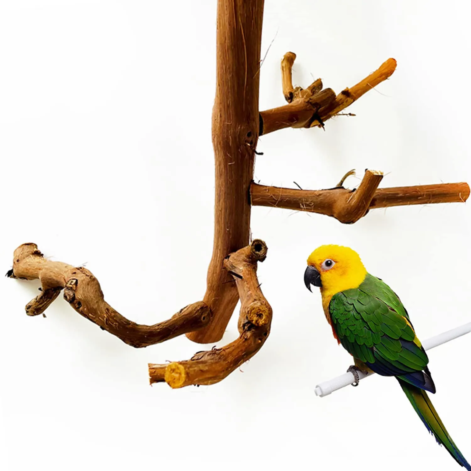 Allazone 4 Pz Posatoi in Legno di Uccelli, Posatoi per Uccelli, Ramo D'uva Naturale Giocattolo Posatoi per Uccelli Legno Naturale per Cacatua, Cocorite, Fringuelli - immagine 2