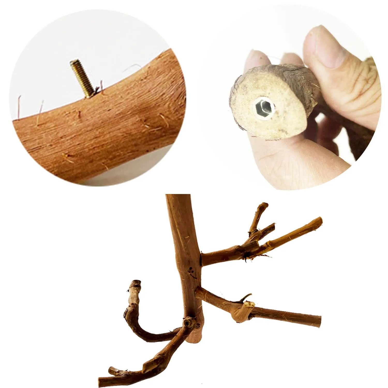 Allazone 4 Pz Posatoi in Legno di Uccelli, Posatoi per Uccelli, Ramo D'uva Naturale Giocattolo Posatoi per Uccelli Legno Naturale per Cacatua, Cocorite, Fringuelli - immagine 4