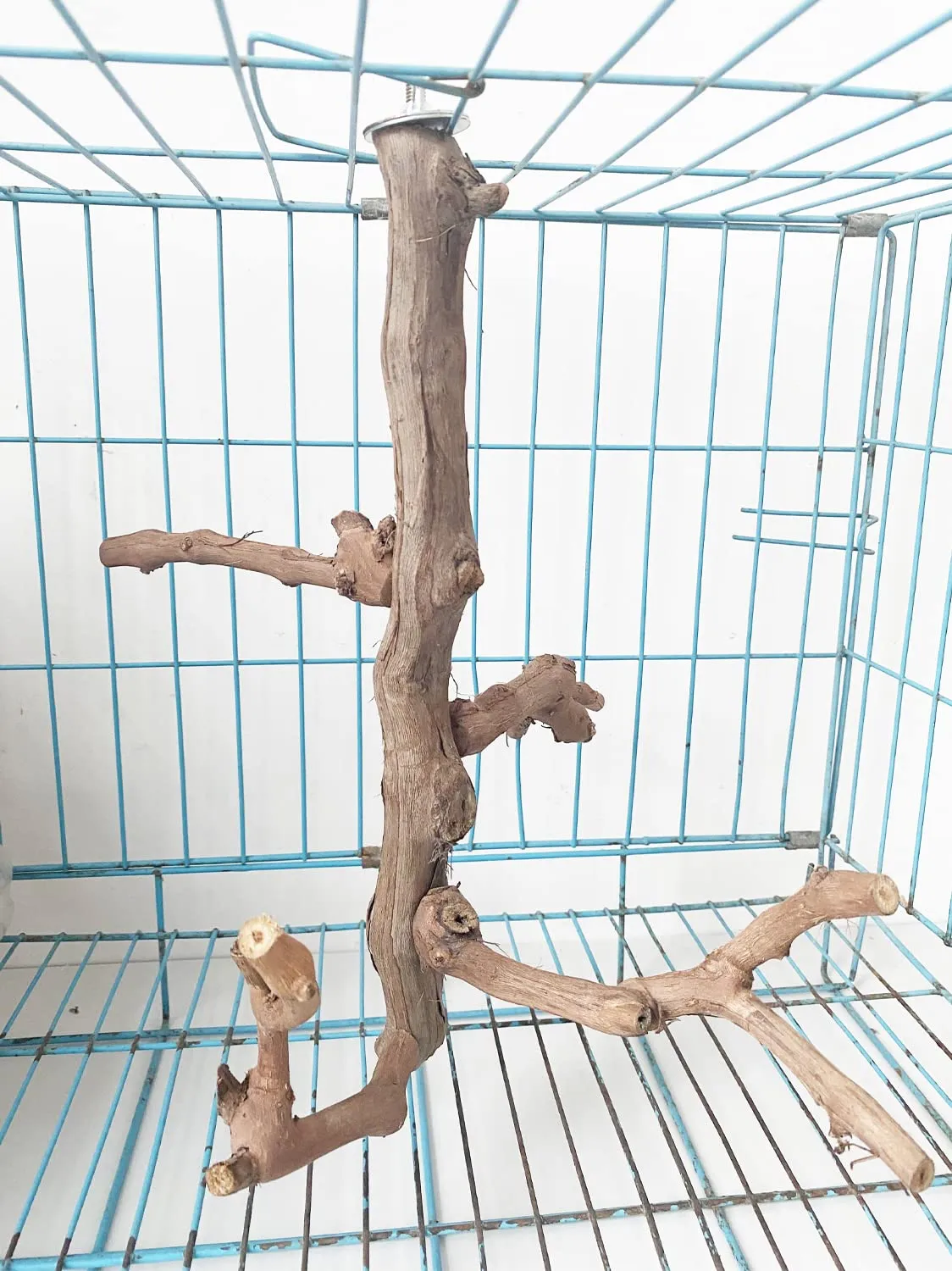 Allazone 4 Pz Posatoi in Legno di Uccelli, Posatoi per Uccelli, Ramo D'uva Naturale Giocattolo Posatoi per Uccelli Legno Naturale per Cacatua, Cocorite, Fringuelli - immagine 6