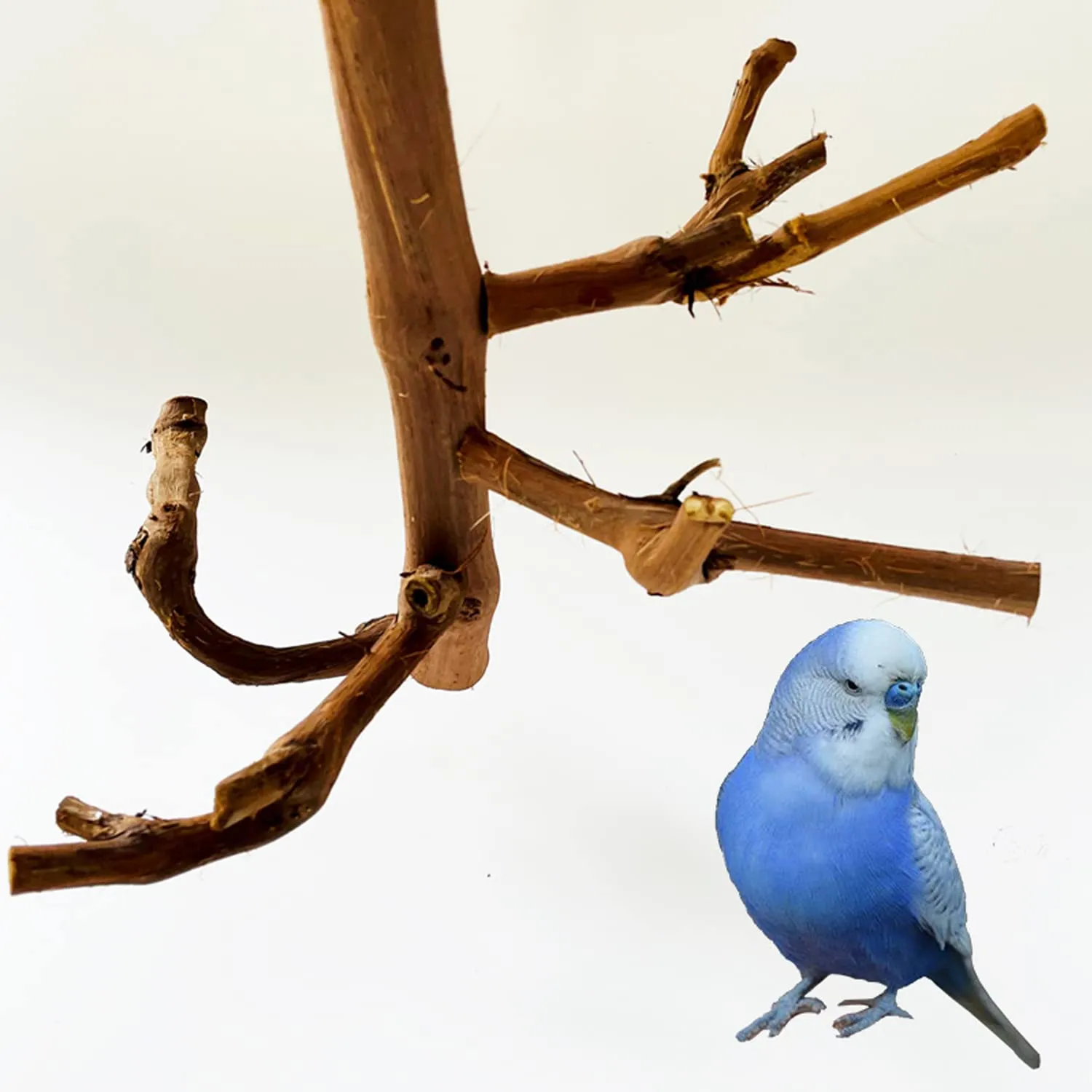 Allazone 4 Pz Posatoi in Legno di Uccelli, Posatoi per Uccelli, Ramo D'uva Naturale Giocattolo Posatoi per Uccelli Legno Naturale per Cacatua, Cocorite, Fringuelli - immagine 7