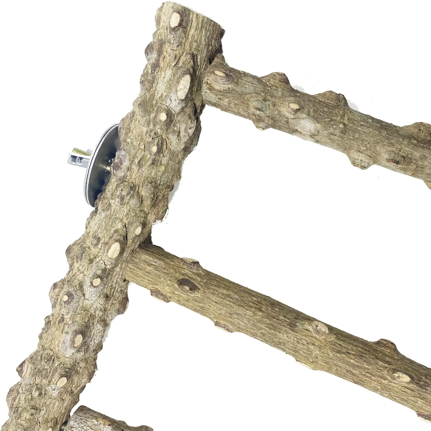 Allazone 3 Pz Posatoio per Pappagalli, Legno Naturale Gabbia per Uccelli Scala, Posatoi per Uccelli Legno, Posatoi per Gabbia per Uccelli - immagine 4