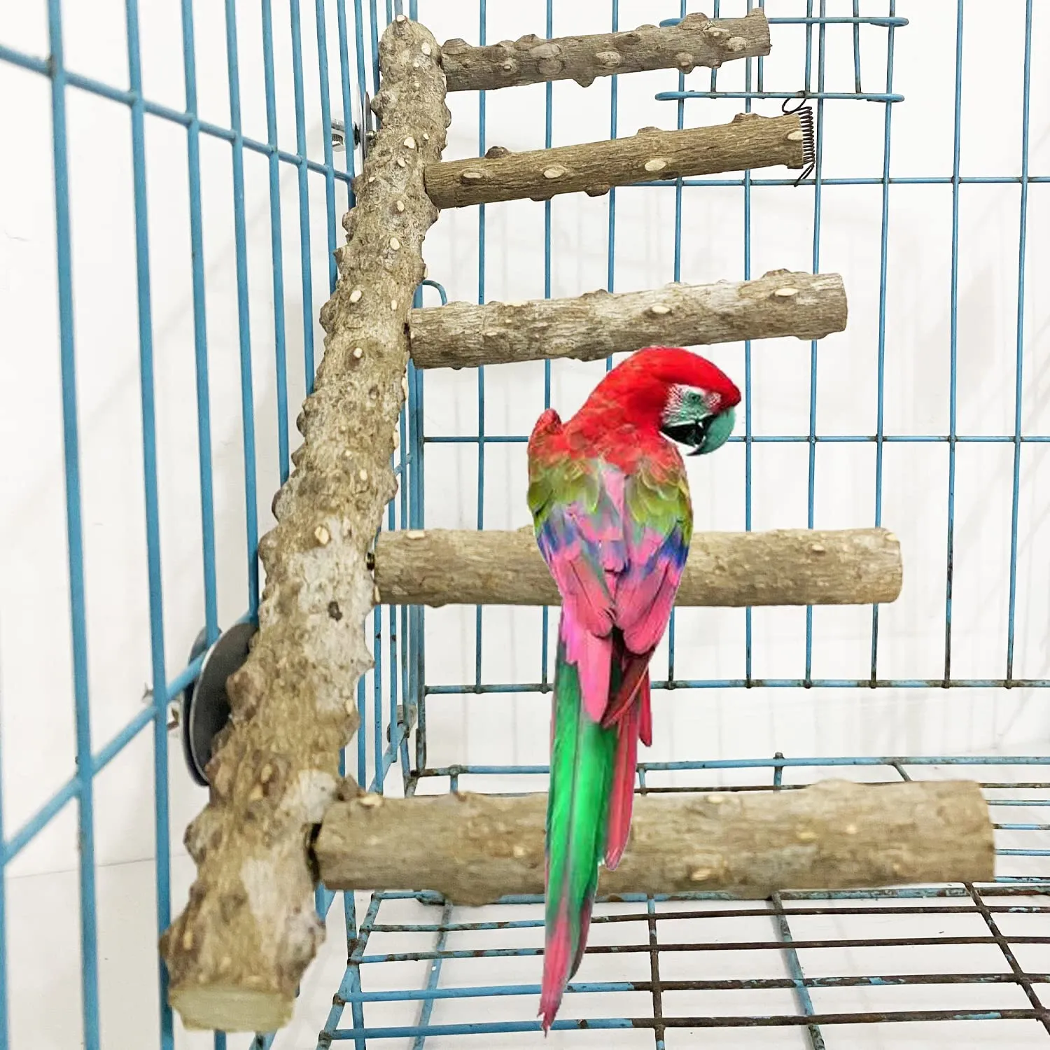 Allazone 3 Pz Posatoio per Pappagalli, Legno Naturale Gabbia per Uccelli Scala, Posatoi per Uccelli Legno, Posatoi per Gabbia per Uccelli - immagine 7