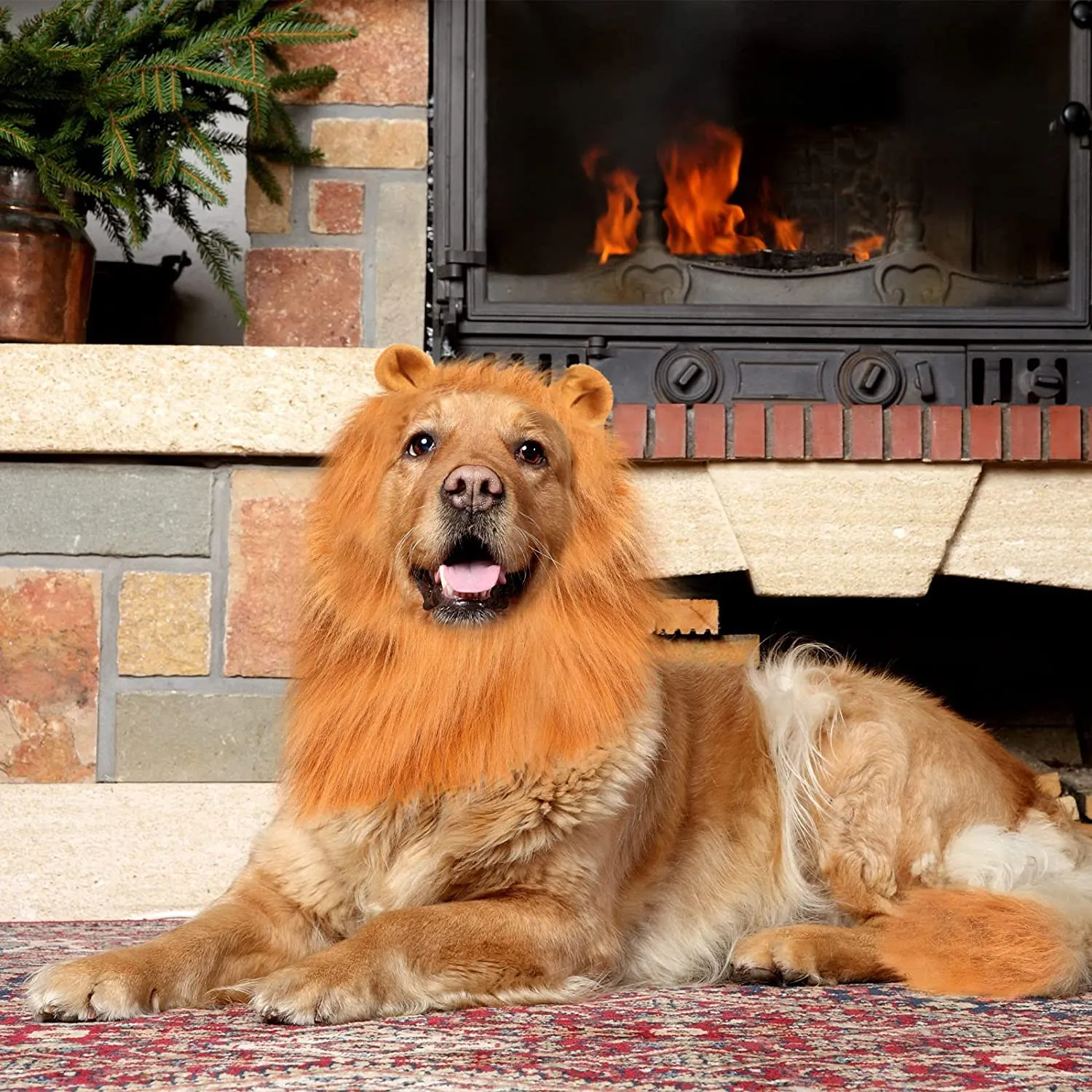 LATRAT Criniera di leone per cani, parrucca con orecchie, regolabile, per travestimento da leone per cani, Cosplay Costume Orecchie per Cane Gatto Halloween Partito Natale Vestire Marrone - immagine 5