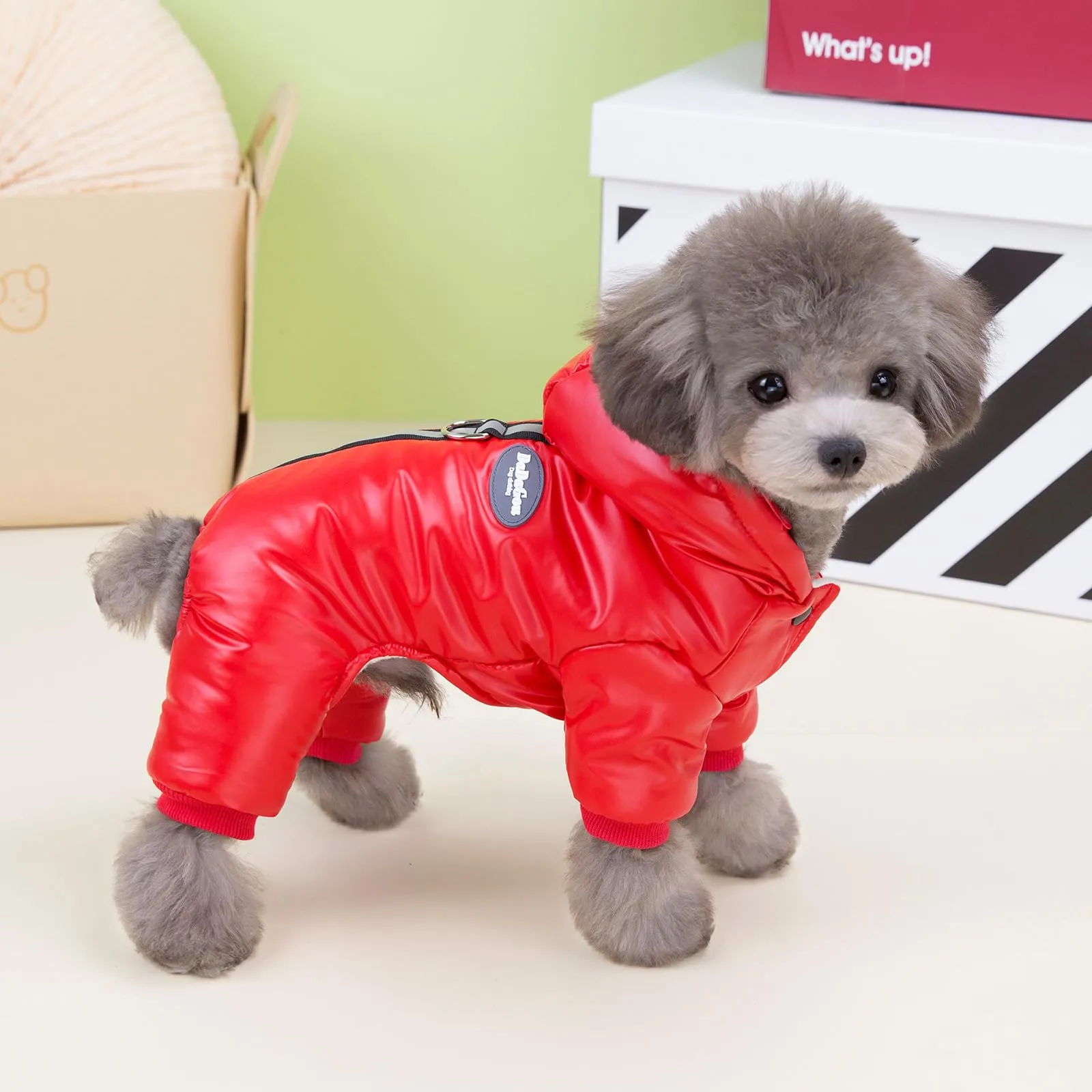 Izefia Cappotto del Cane Antivento Giacca Fredda 4 Gambe Tuta Calda Invernale Vestiti Spessi Della Neve Cotone Cappotto del Cane per Il Piccolo Gatto Medio - immagine 3