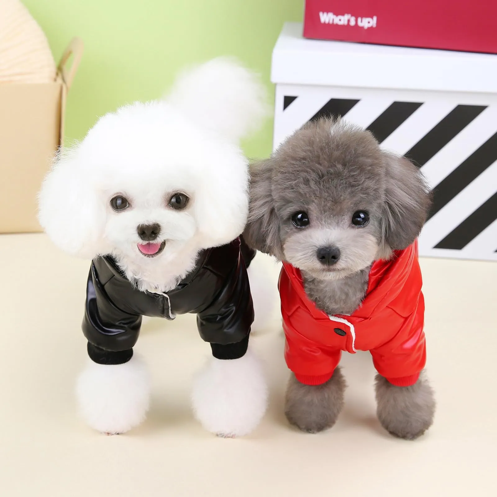 Izefia Cappotto del Cane Antivento Giacca Fredda 4 Gambe Tuta Calda Invernale Vestiti Spessi Della Neve Cotone Cappotto del Cane per Il Piccolo Gatto Medio - immagine 6