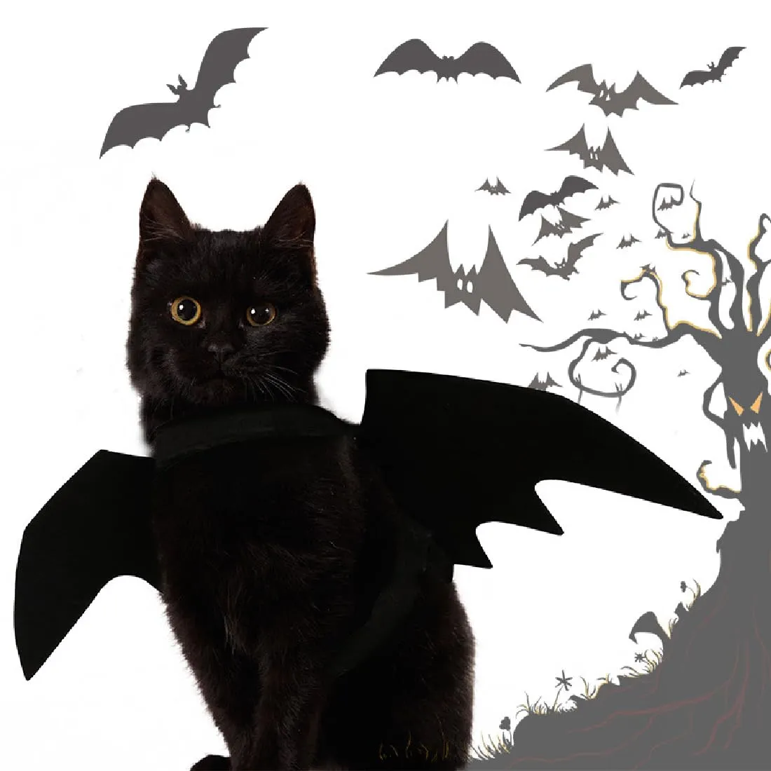 JTKREW Halloween Costume per Cane e Gatto - Costume da Gatto Pipistrello con Ali - Cosplay per Animali Domestici - immagine 4