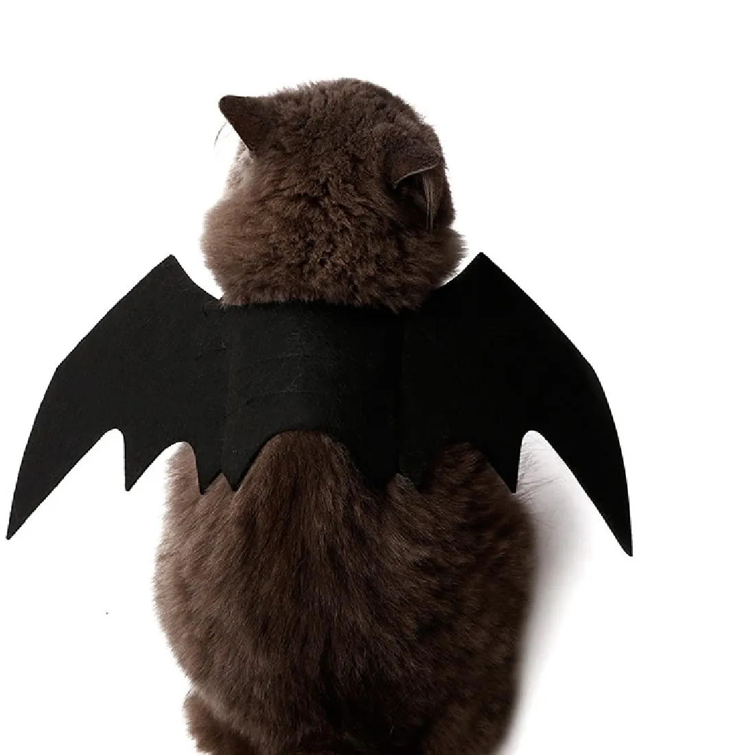 JTKREW Halloween Costume per Cane e Gatto - Costume da Gatto Pipistrello con Ali - Cosplay per Animali Domestici - immagine 6