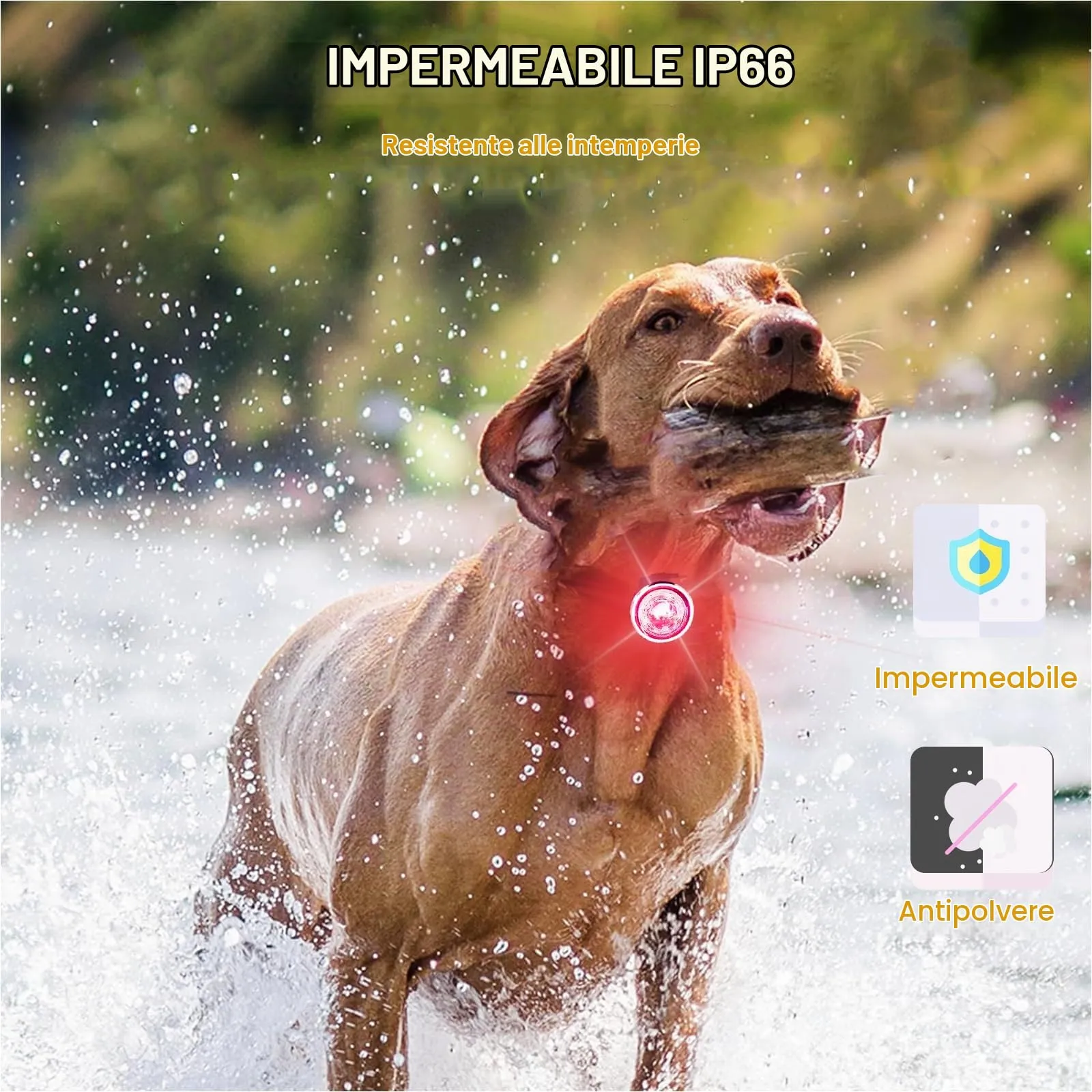 Tubasion Confezione da 2 luci per cani per passeggiate notturne, 8 modalità di luci ricaricabili migliorate per collare per cani per clip notturna, IPX6 impermeabile e luci di sicurezza a banda di - immagine 5