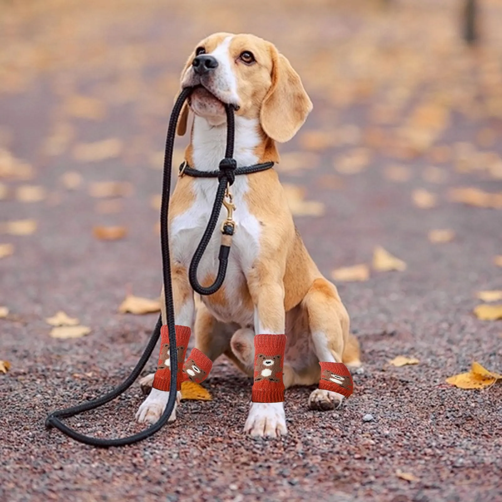 Scaldamuscoli per cani, 4 pezzi, protezione per gomito per cani, morbidi e caldi, in maglia, per gattini, cuccioli, cani di piccola taglia e gatti (rosso, M) - immagine 7