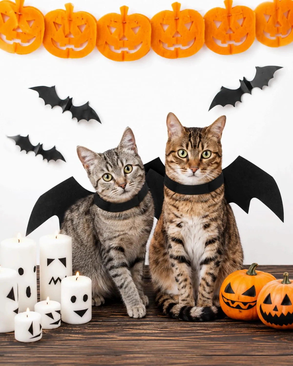 FOKZIL Ali Pipistrello Feltro Costume Halloween per Cani e Gatti, Taglia M (52x25cm), | Finitura Morbida con Chiusura Rapida | Design Ergonomico per Sedere e Muoversi Liberi - immagine 6