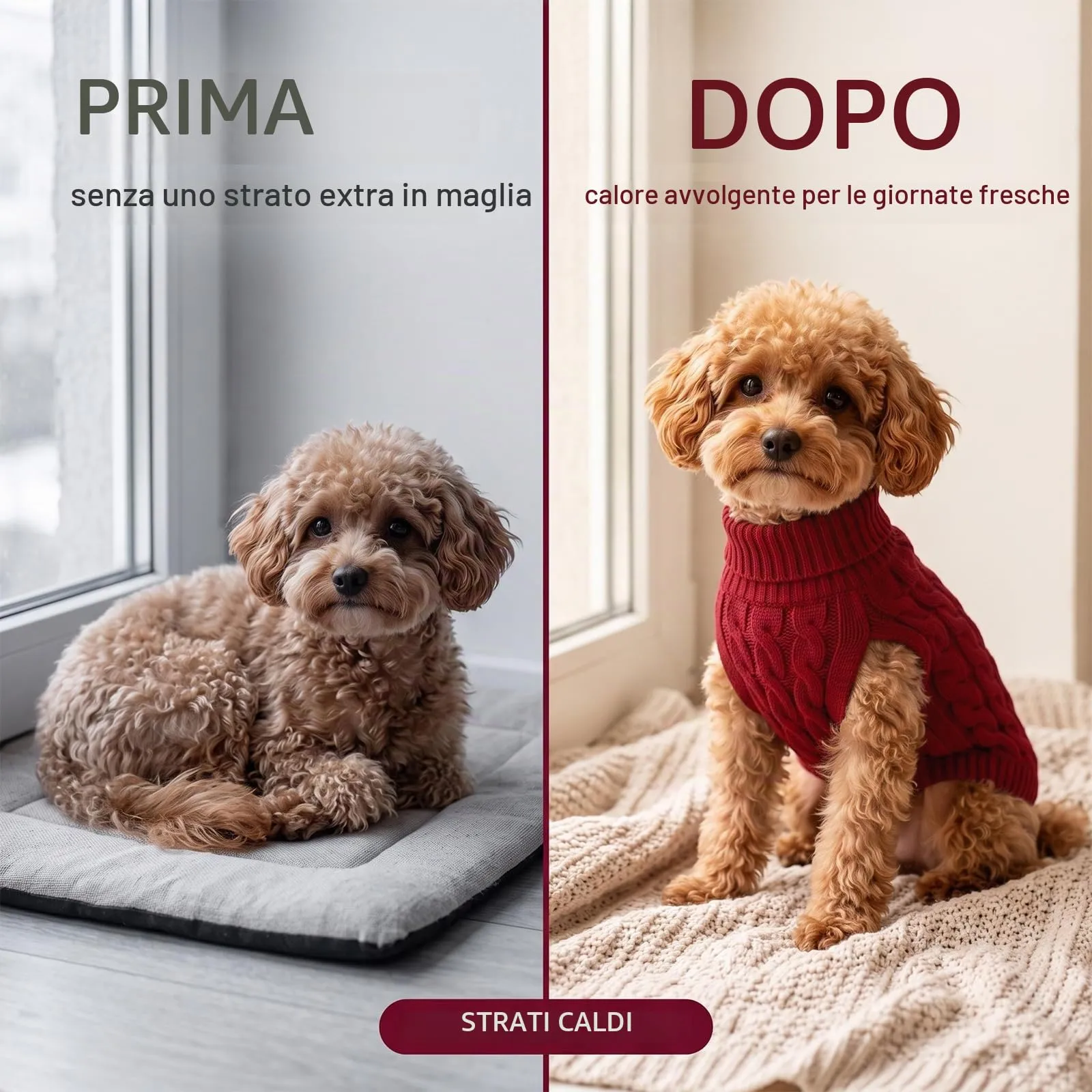 NiceNaiils Maglioncino Cane Taglia Piccola, Maglione a Treccia per Cani e Gatti Caldo e Morbido, Cappottino Dolcevita Autunno Inverno, Rosso Vino, L (Torace 34cm, Schiena 35cm, 3.5-5kg) - immagine 6