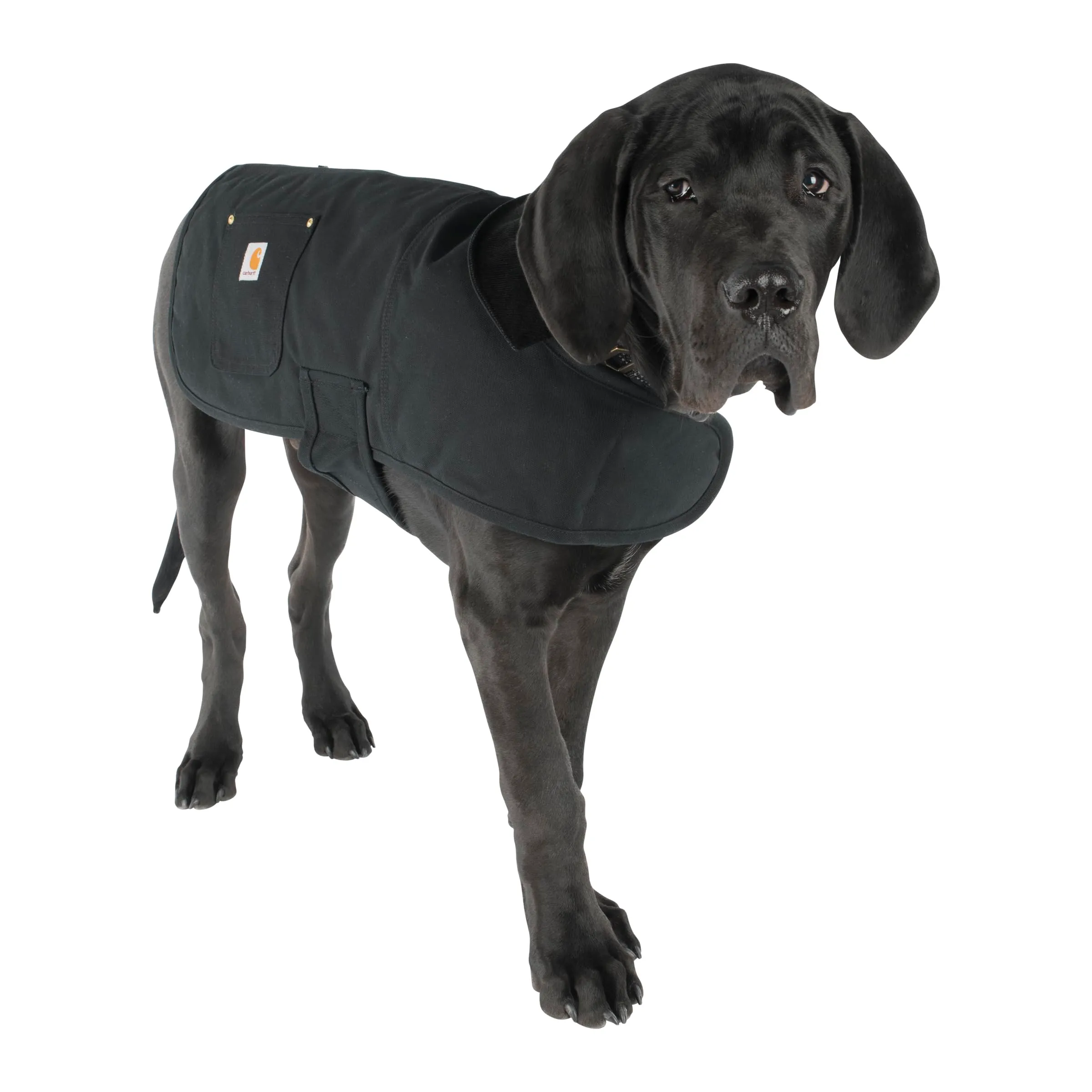 Carhartt Cappotto Chore, Nero, M - immagine 4