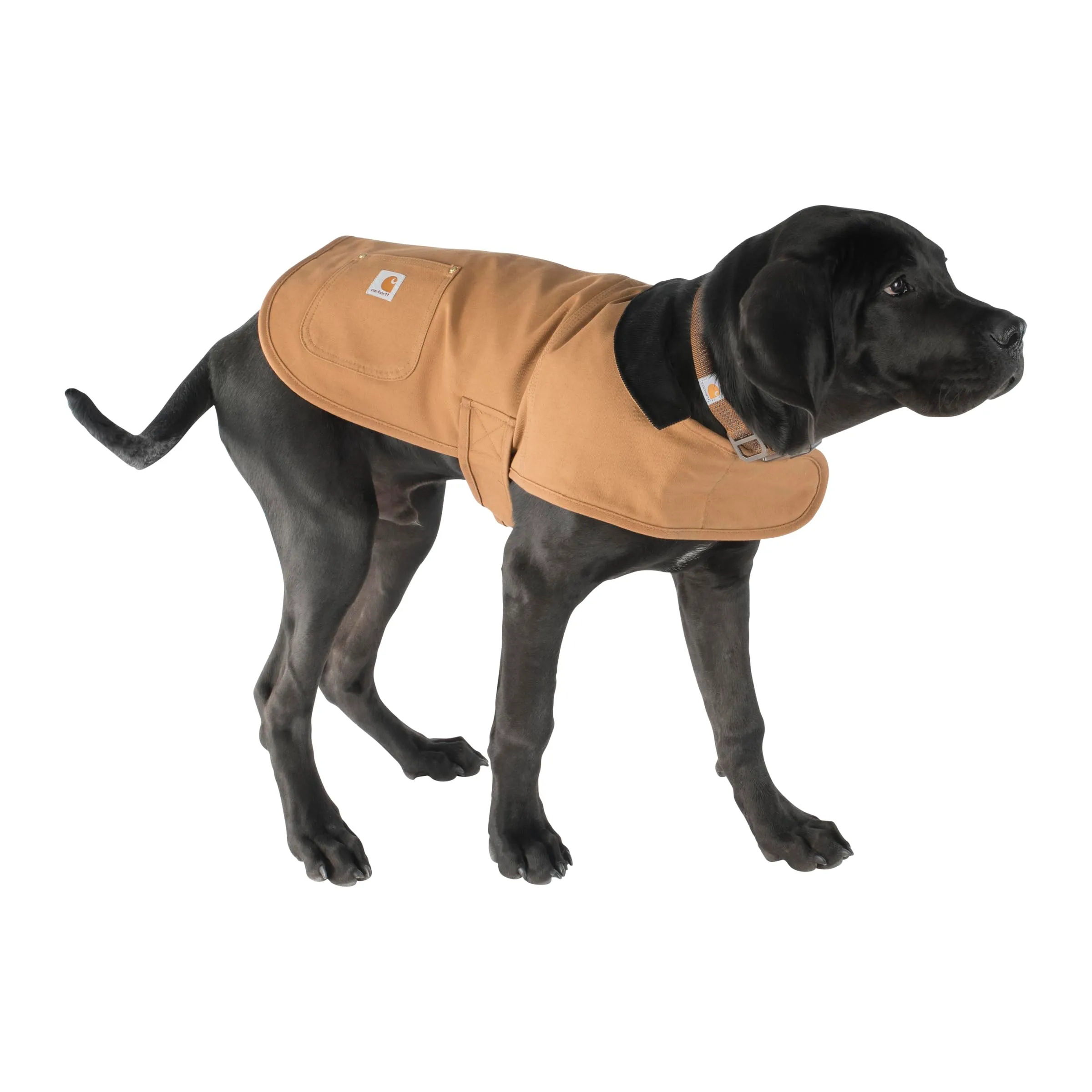 Carhartt Cappotto Chore, Marrone/Ottone, L - immagine 4