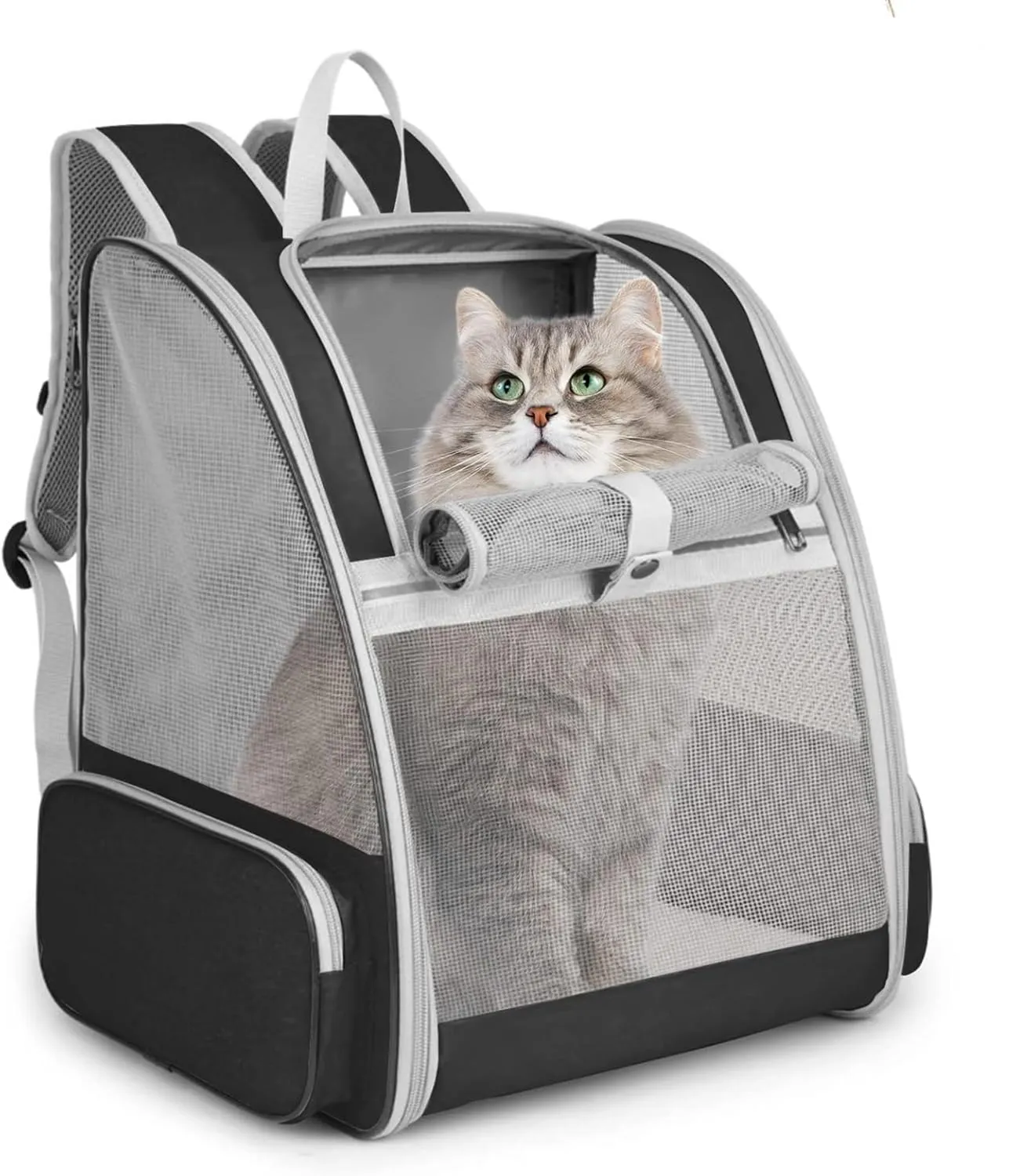 BEIKOTT Zaino posteriore espandibile per gatti, cani e animali domestici, per cani di piccola taglia, cani e uccelli, zaino trasparente a capsula spaziale per viaggio/escursionismo/all'aperto - immagine 2