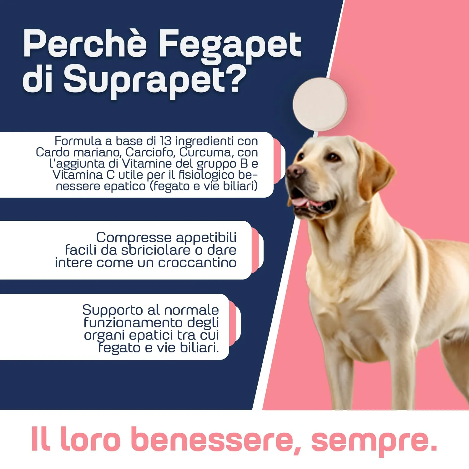 Suprapet Fegapet Cani e Gatti Supporto per il Fegato 30 compresse - Mangime per Funzioni Epato-Biliari con Vitamine, Cardo Mariano, Carciofo, Curcuma, Lespedeza - immagine 3