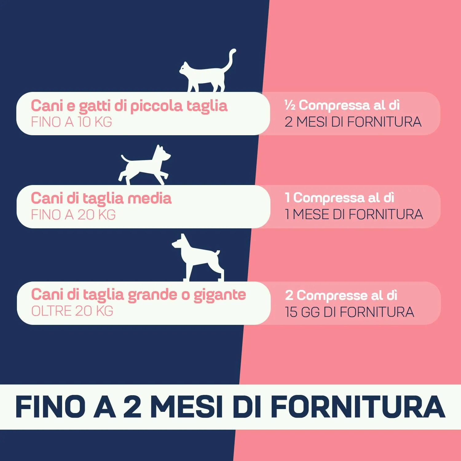 Suprapet Fegapet Cani e Gatti Supporto per il Fegato 30 compresse - Mangime per Funzioni Epato-Biliari con Vitamine, Cardo Mariano, Carciofo, Curcuma, Lespedeza - immagine 6