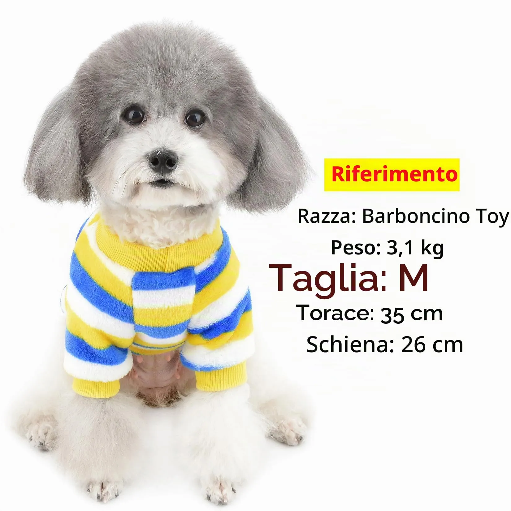 ZUNEA Maglione Invernale per Cani Piccola Taglia Cappottino in pile Caldo per Cuccioli Giacca a Righe Super Morbida in Velluto Chihuahua Gatti Abbigliamento Cani Ragazze Ragazzi Vestiti Blu L - immagine 3