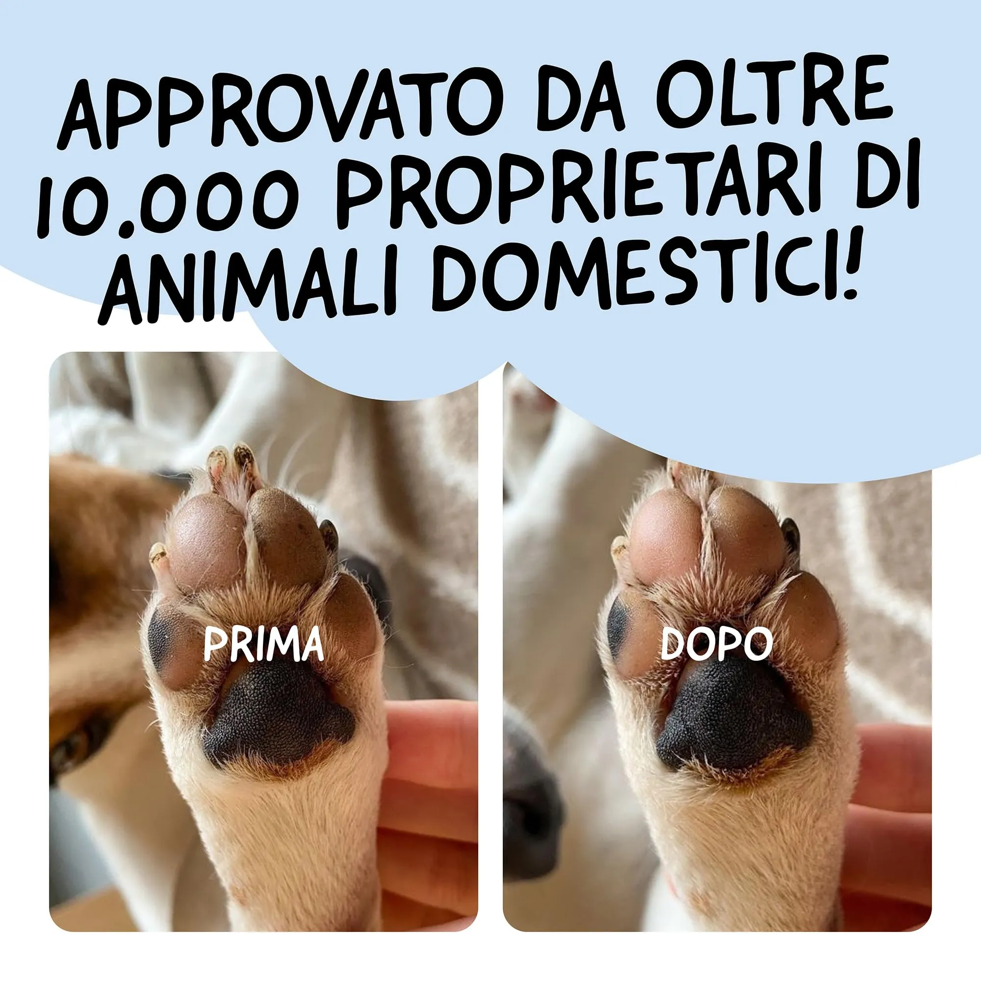 Belly Crema Polpastrelli Cane, 100% Naturale, Protezione Asfalto Caldo, 50g - immagine 6