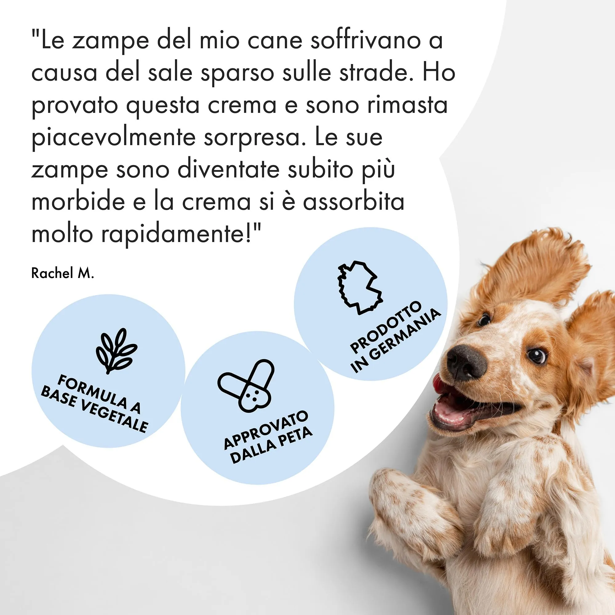 Belly Crema Polpastrelli Cane, 100% Naturale, Protezione Asfalto Caldo, 50g - immagine 8