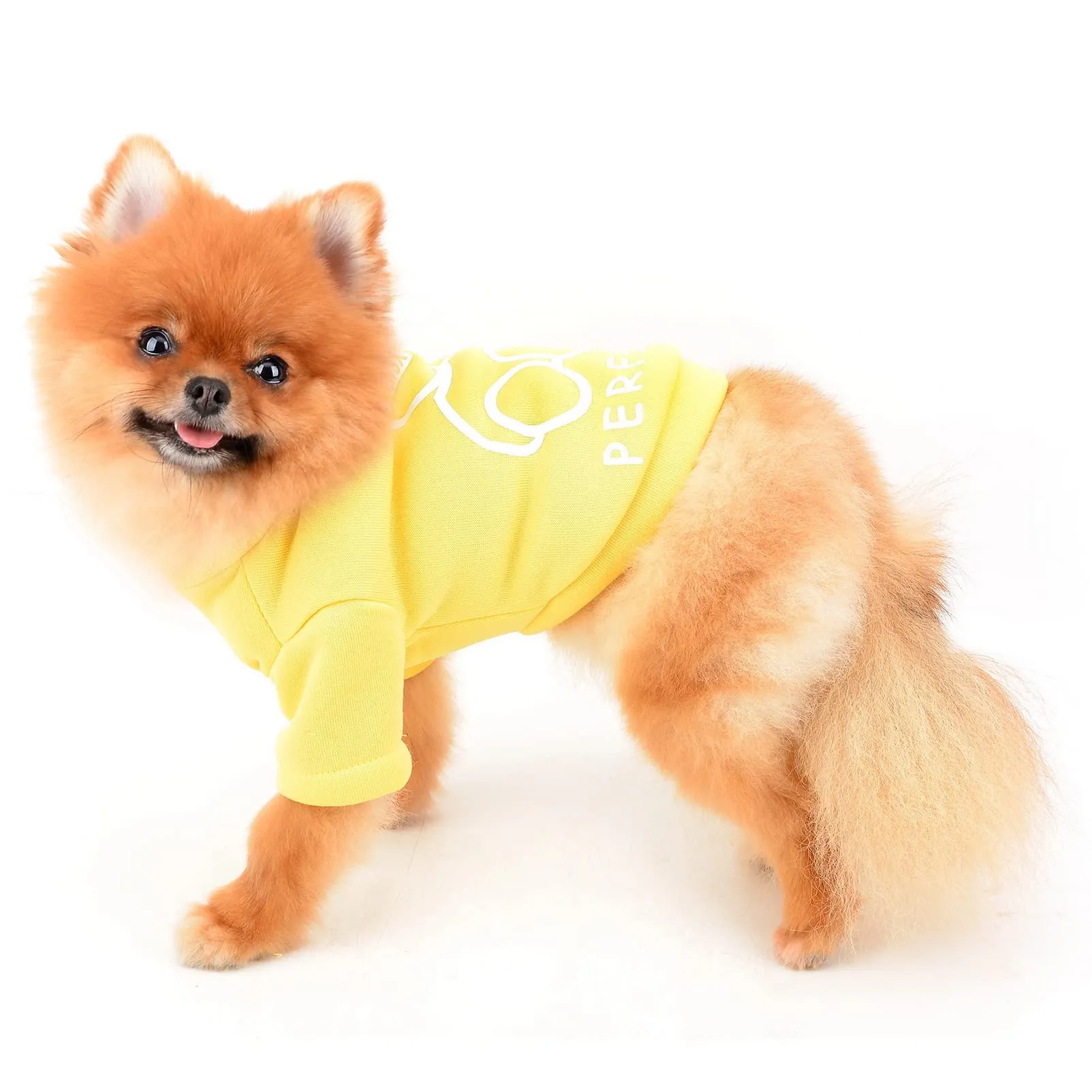 SMALLLEE_LUCKY_STORE Simpatico cartone animato cucciolo felpa in pile pullover maglioni per cani di piccola taglia media gatto Yorkie Chihuahua gattino caldo autunno inverno vestiti, Giallo, S - immagine 4