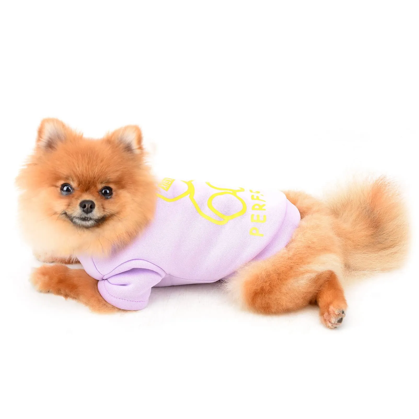SMALLLEE_LUCKY_STORE Simpatico cartone animato cucciolo felpa in pile pullover maglioni per cani di piccola taglia media gatto Yorkie Chihuahua gattino caldo autunno inverno vestiti, viola, XXL - immagine 2