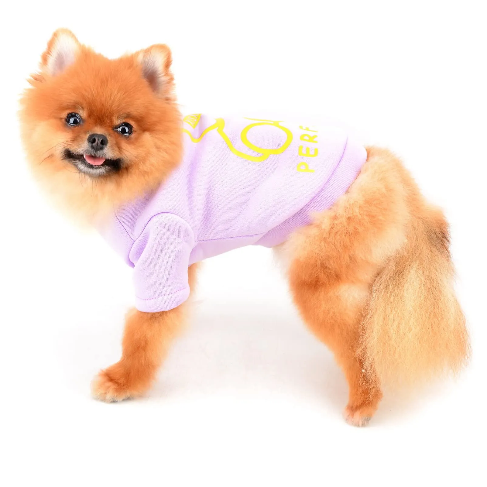 SMALLLEE_LUCKY_STORE Simpatico cartone animato cucciolo felpa in pile pullover maglioni per cani di piccola taglia media gatto Yorkie Chihuahua gattino caldo autunno inverno vestiti, viola, XXL - immagine 4