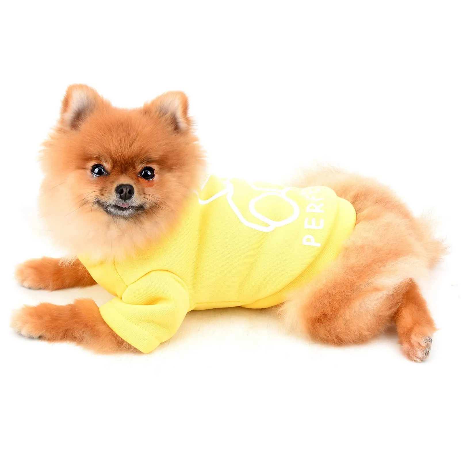SMALLLEE_LUCKY_STORE Simpatico cartone animato cucciolo felpa in pile pullover maglioni per cani di piccola taglia media gatto Yorkie Chihuahua gattino caldo autunno inverno vestiti, giallo, XL - immagine 2