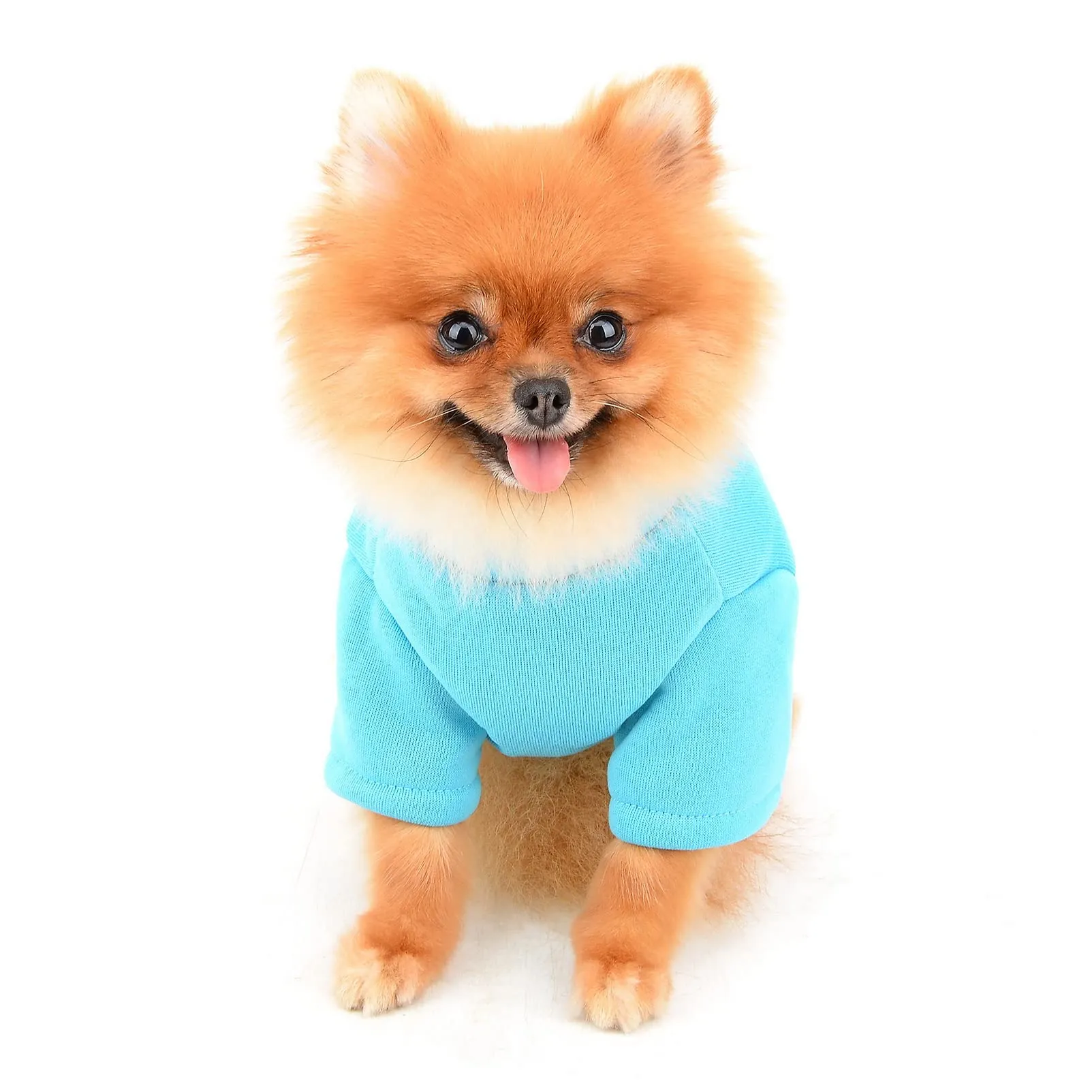 SMALLLEE_LUCKY_STORE Simpatico cartone animato cucciolo felpa in pile pullover maglioni per cani di piccola taglia media gatto Yorkie Chihuahua gattino caldo autunno inverno vestiti, blu, M - immagine 3