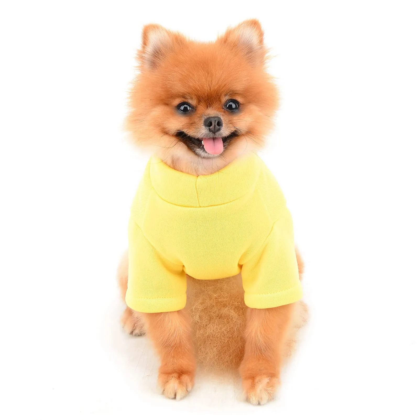 SMALLLEE_LUCKY_STORE Simpatico cartone animato cucciolo felpa in pile pullover maglioni per cani di piccola taglia media gatto Yorkie Chihuahua gattino caldo autunno inverno vestiti, Giallo, L - immagine 3