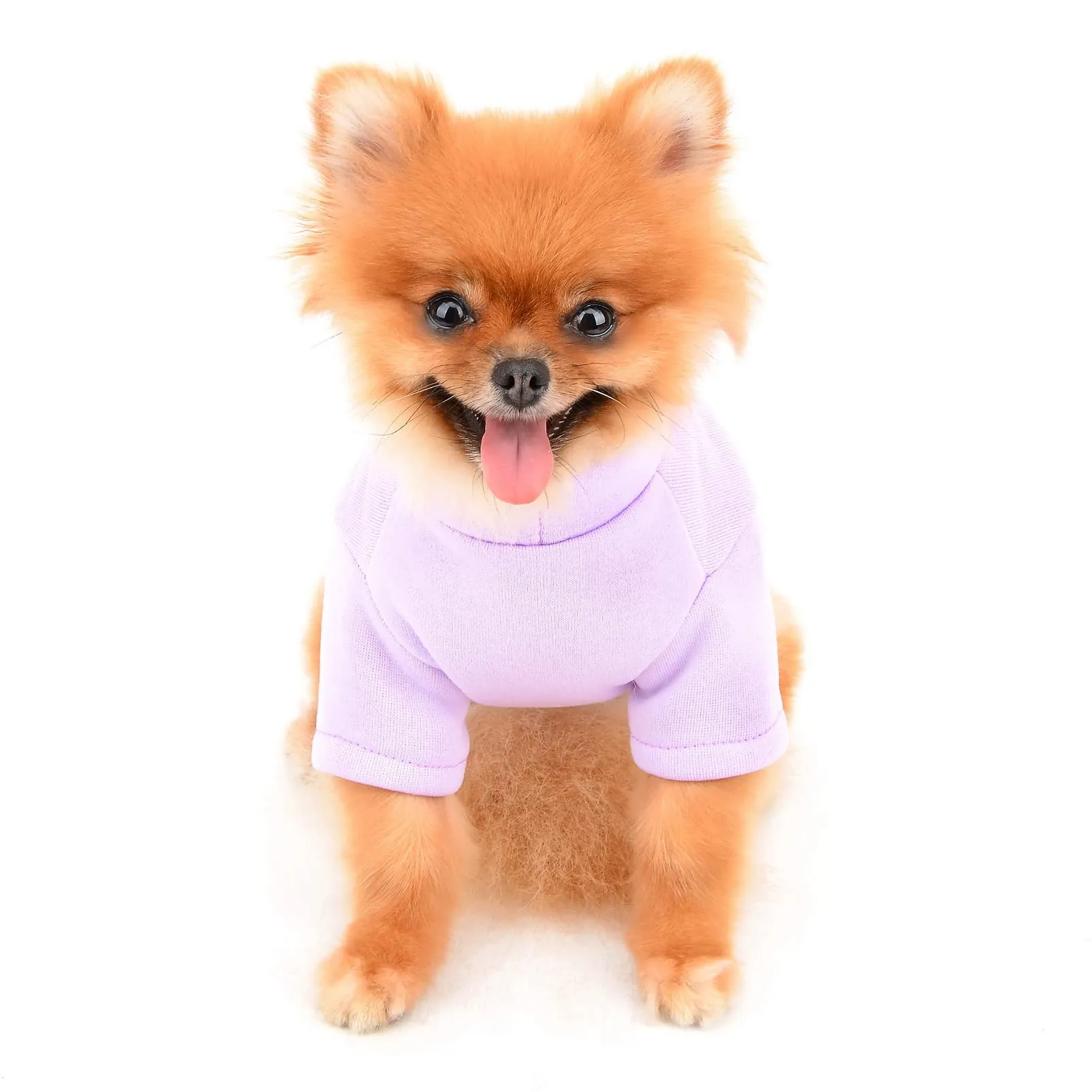 SMALLLEE_LUCKY_STORE Simpatico cartone animato cucciolo felpa in pile pullover maglioni per cani di piccola taglia media gatto Yorkie Chihuahua gattino caldo autunno inverno vestiti, viola, XL - immagine 3
