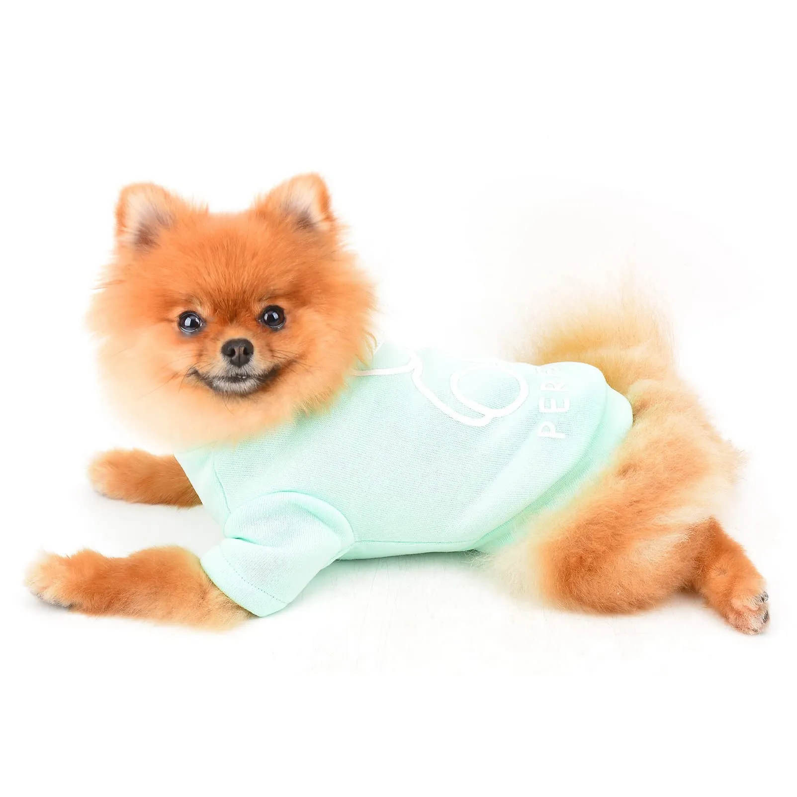 SMALLLEE_LUCKY_STORE Simpatico cartone animato cucciolo felpa in pile pullover maglioni per cani di piccola taglia media gatto Yorkie Chihuahua gattino caldo autunno inverno vestiti, verde, M - immagine 2
