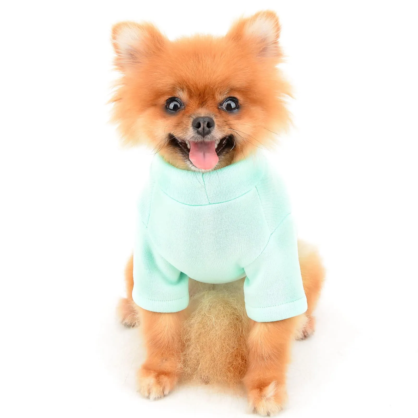 SMALLLEE_LUCKY_STORE Simpatico cartone animato cucciolo felpa in pile pullover maglioni per cani di piccola taglia media gatto Yorkie Chihuahua gattino caldo autunno inverno vestiti, verde, L - immagine 3