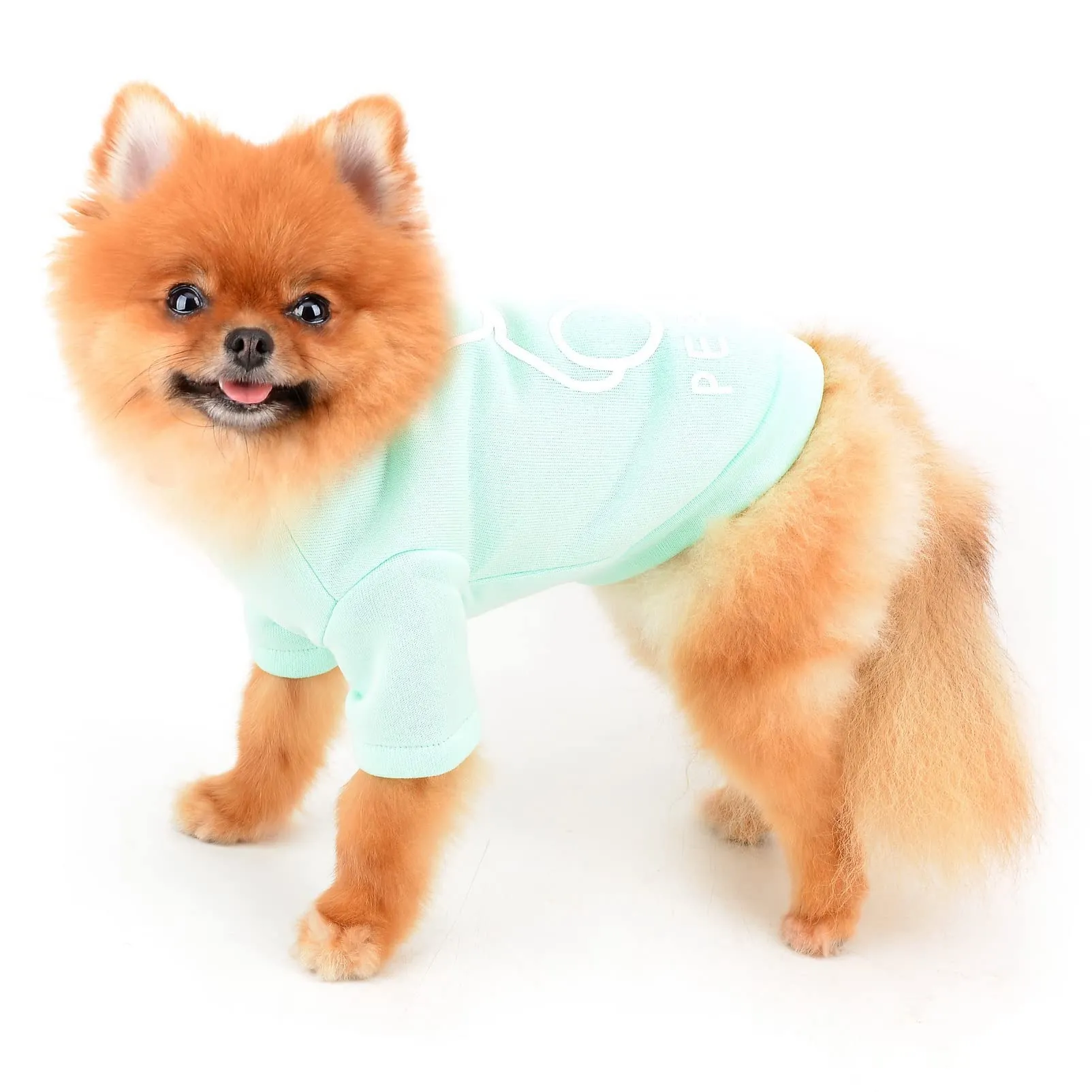 SMALLLEE_LUCKY_STORE Simpatico cartone animato cucciolo felpa in pile pullover maglioni per cani di piccola taglia media gatto Yorkie Chihuahua gattino caldo autunno inverno vestiti, verde, XL - immagine 4