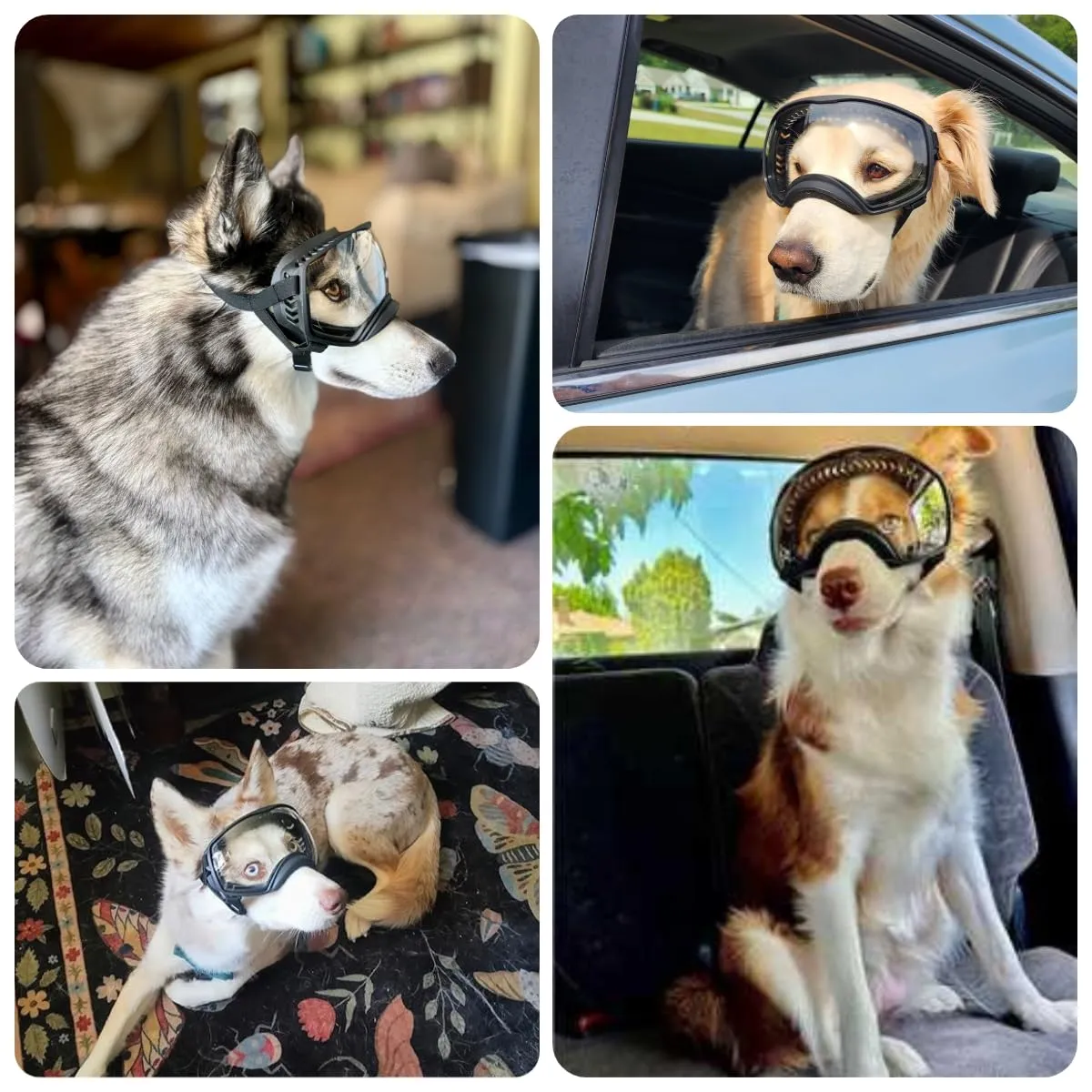 NAMSAN Occhiali da Sole per Cani Protezione UV Occhiali da Sole per Animali Domestici Fascia Regolabile e Cuscinetti di Schiuma Proteg Gono GliOcchi per Cani di Grossa Taglia - Libero - immagine 2