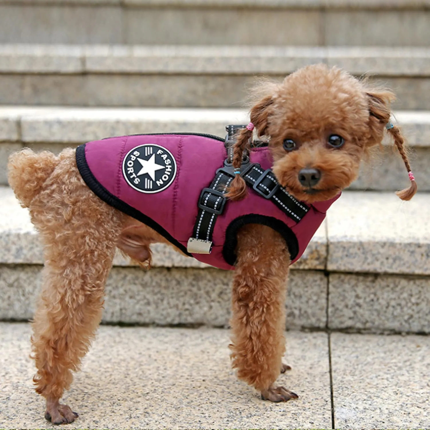 Ectkuee Giubbotto per cani invernali Cappotti antivento impermeabili 2 in 1 Vestiti per la stagione fredda gilet imbracatura giacca calda invernale cuccioli piccola - immagine 2
