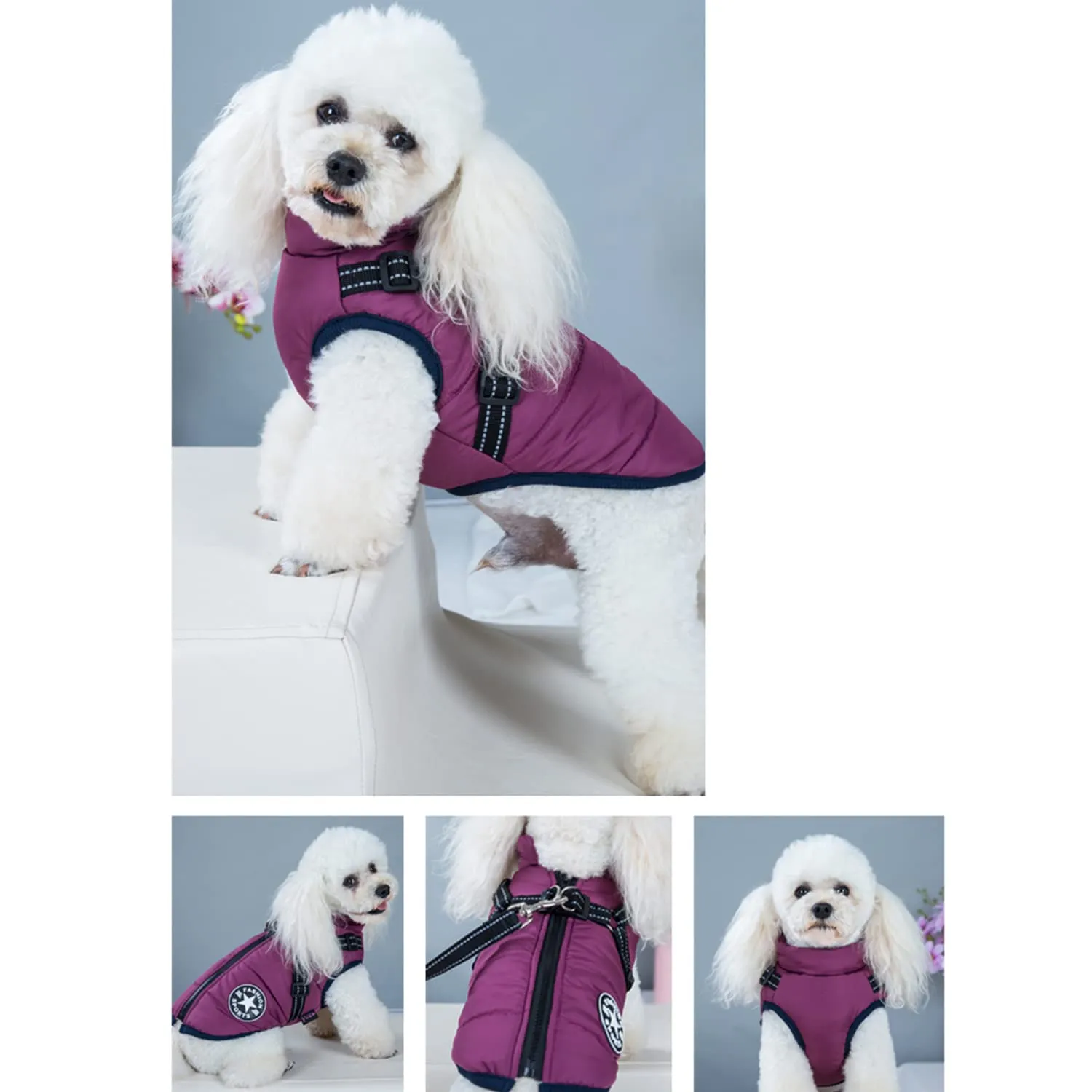 Ectkuee Giubbotto per cani invernali Cappotti antivento impermeabili 2 in 1 Vestiti per la stagione fredda gilet imbracatura giacca calda invernale cuccioli piccola - immagine 4