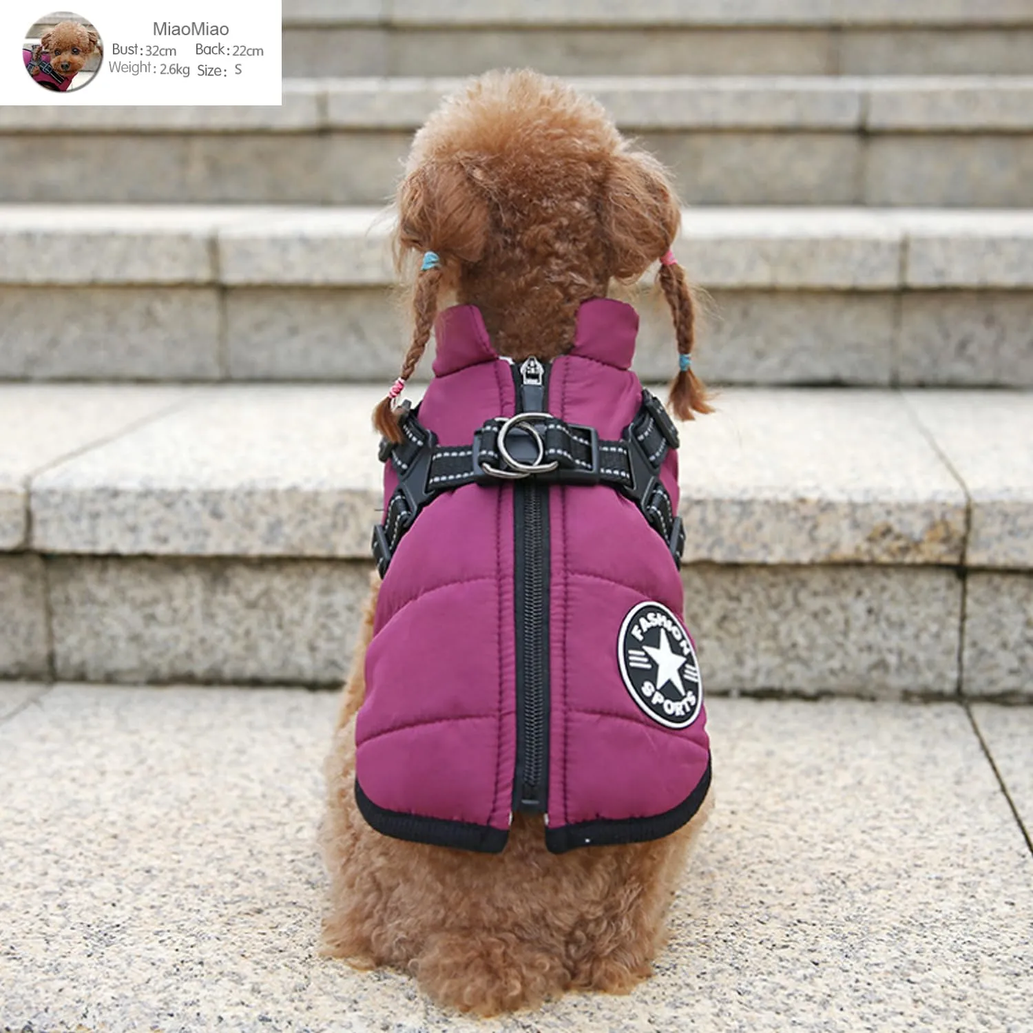 Ectkuee Giubbotto per cani invernali Cappotti antivento impermeabili 2 in 1 Vestiti per la stagione fredda gilet imbracatura giacca calda invernale cuccioli piccola - immagine 3