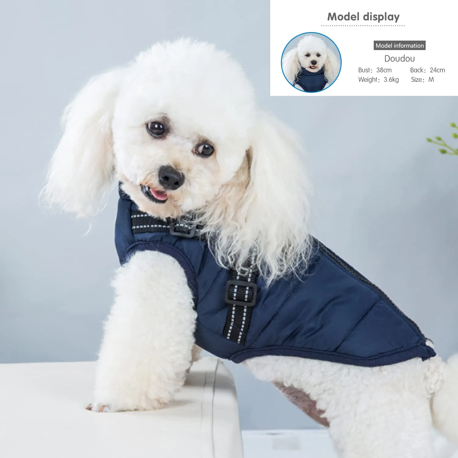 Ectkuee Giubbotto per cani invernali Cappotti antivento impermeabili 2 in 1 Vestiti per la stagione fredda gilet imbracatura giacca calda invernale cuccioli piccola - immagine 2