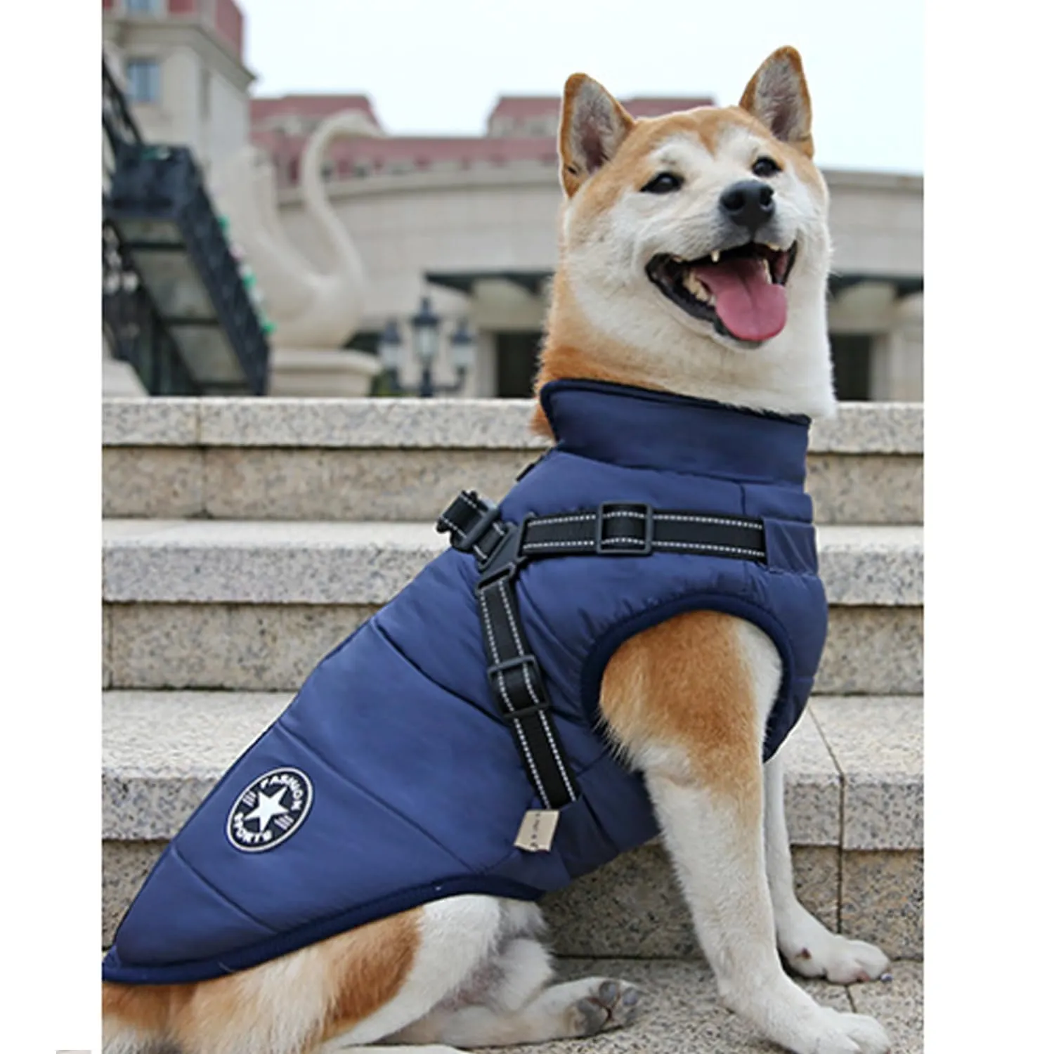 Ectkuee Giubbotto per cani invernali Cappotti antivento impermeabili 2 in 1 Vestiti per la stagione fredda gilet imbracatura giacca calda invernale cuccioli piccola - immagine 3