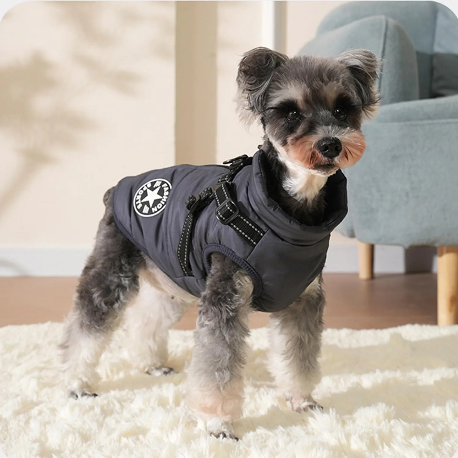 Ectkuee Giubbotto per cani invernali Cappotti antivento impermeabili 2 in 1 Vestiti per la stagione fredda gilet imbracatura giacca calda invernale cuccioli piccola - immagine 4