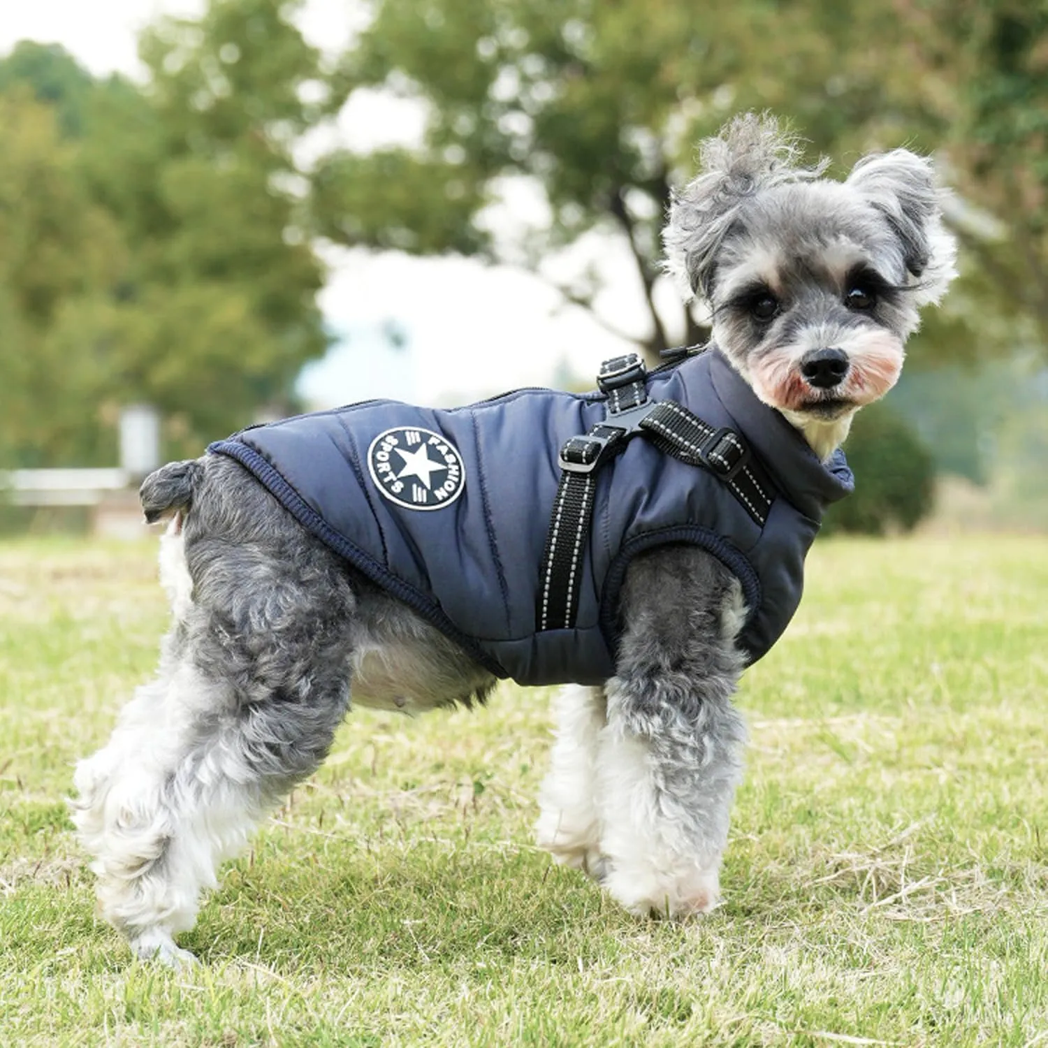 Ectkuee Giubbotto per cani invernali Cappotti antivento impermeabili 2 in 1 Vestiti per la stagione fredda gilet imbracatura giacca calda invernale cuccioli piccola - immagine 2