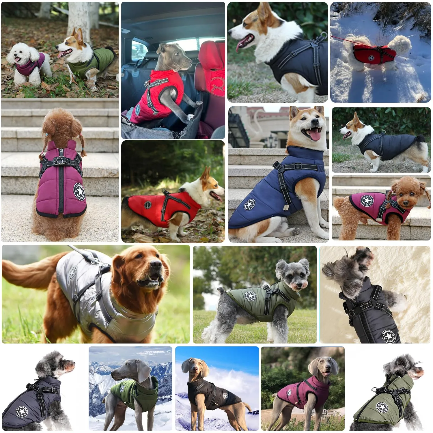 Ectkuee Giubbotto per cani invernali Cappotti antivento impermeabili 2 in 1 Vestiti per la stagione fredda gilet imbracatura giacca calda invernale cuccioli piccola - immagine 7