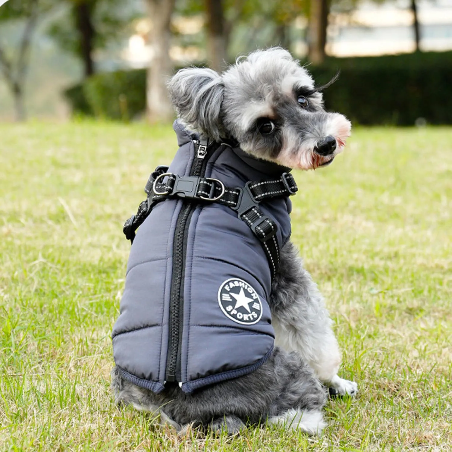 Ectkuee Giubbotto per cani invernali Cappotti antivento impermeabili 2 in 1 Vestiti per la stagione fredda gilet imbracatura giacca calda invernale cuccioli piccola - immagine 3