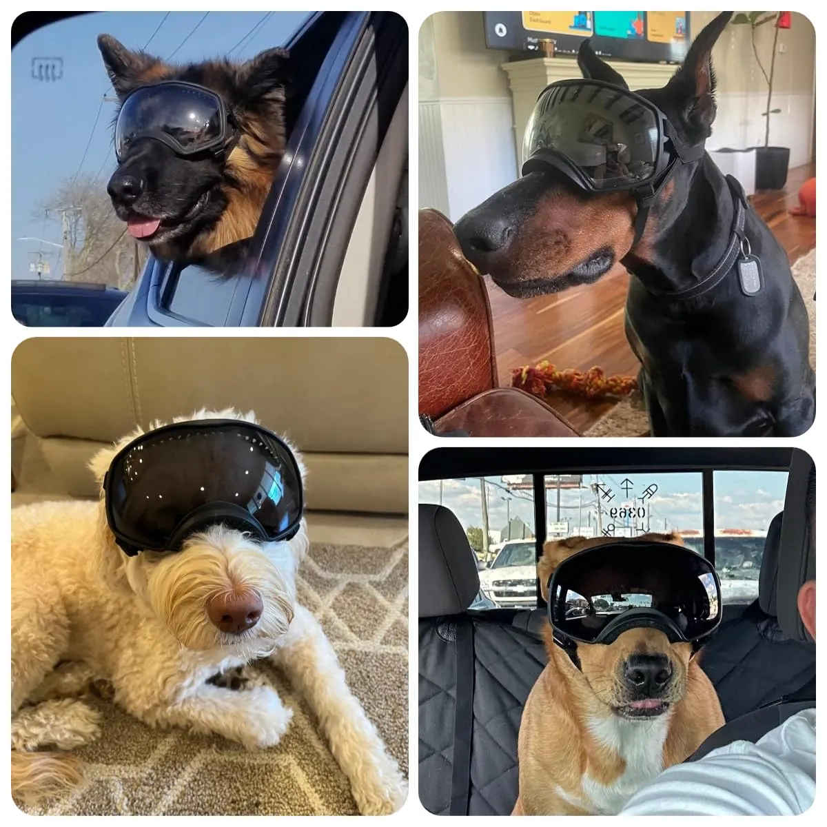 NAMSAN Occhiali da Moto per Cani Anti-UV, Fascia Regolabile Occhiali Antivento per Cani di Grossa Taglia-Nero - immagine 2